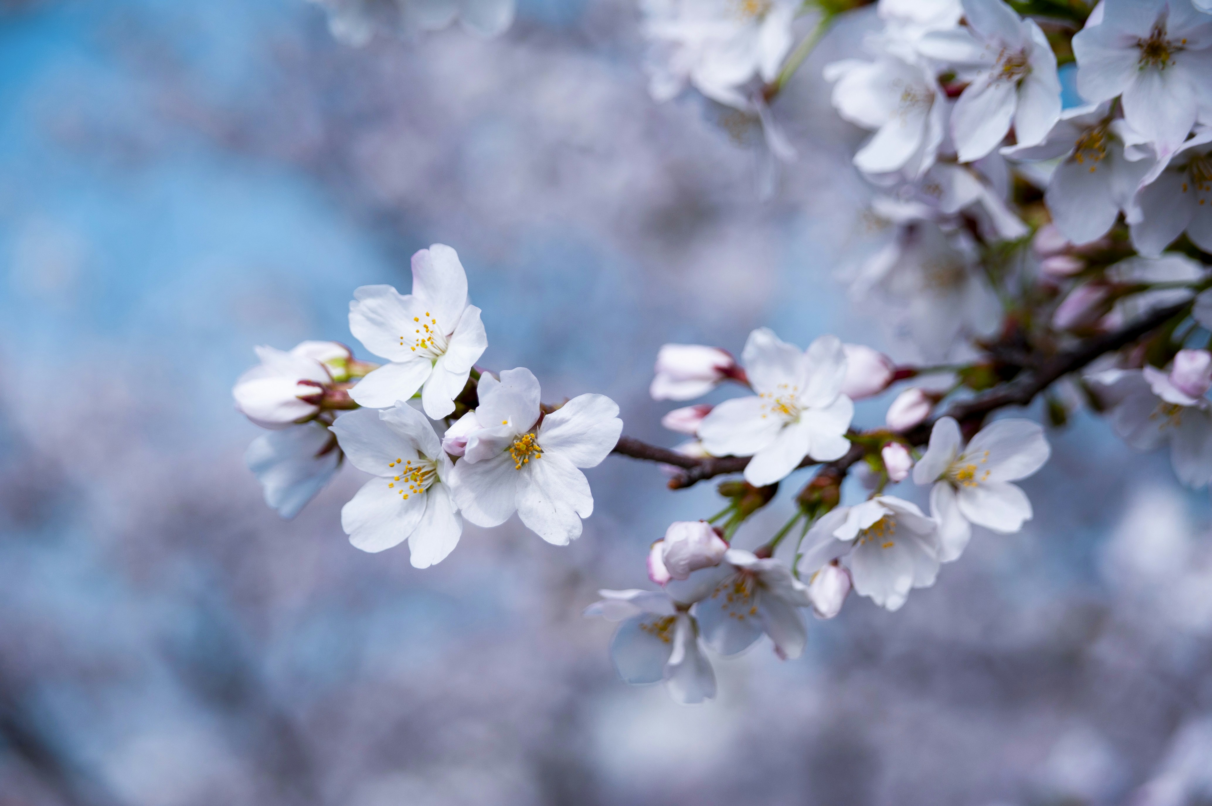 Photo by kevinwang413156