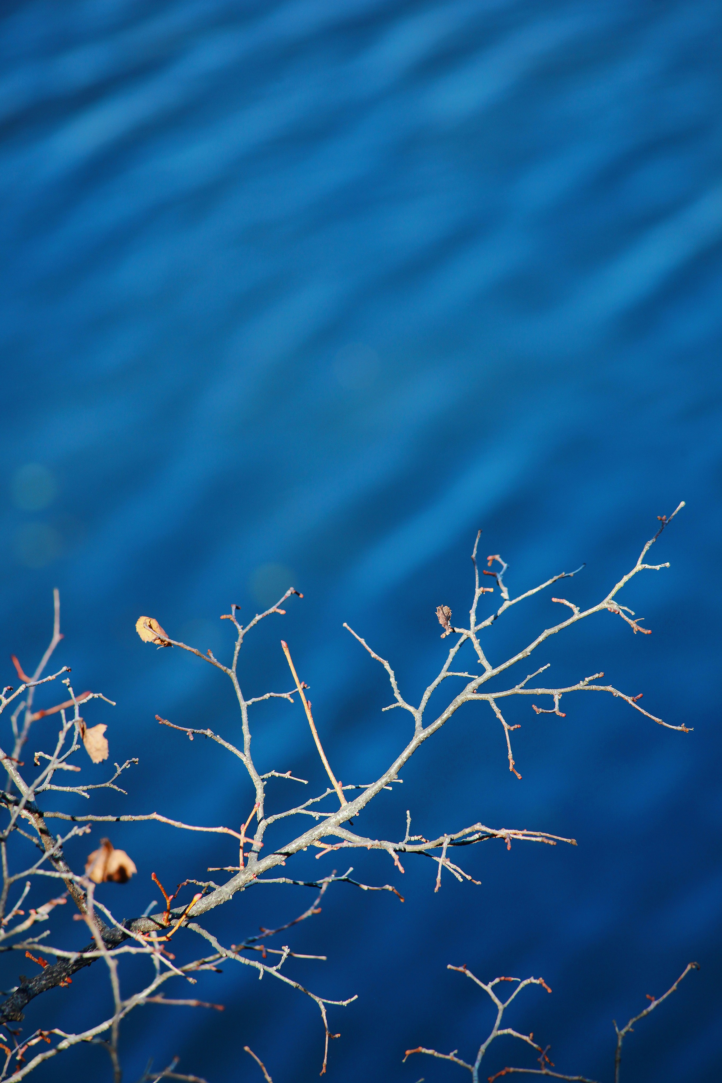 Photo by recordarsew