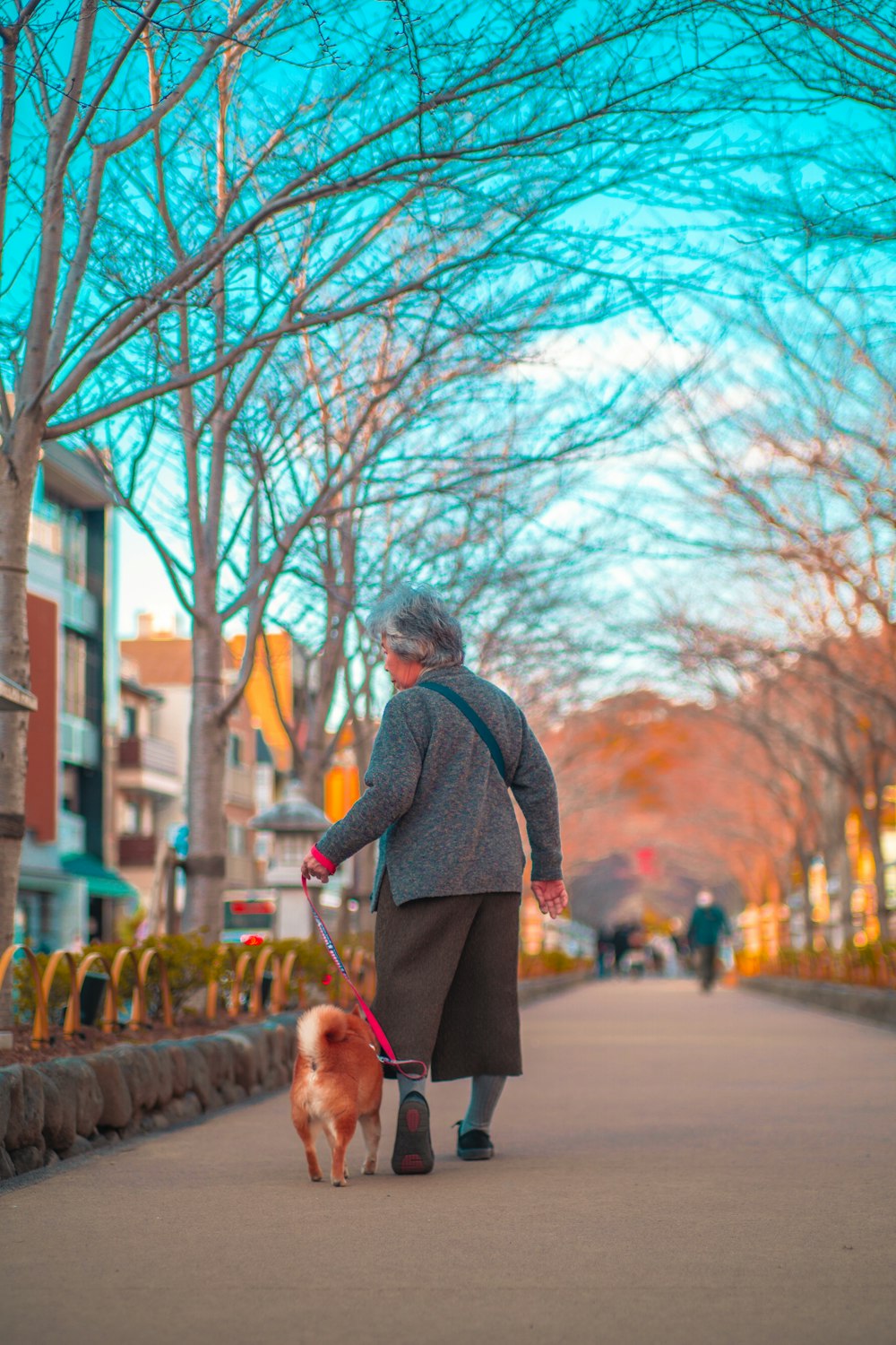 a woman walking a dog down a sidewalk