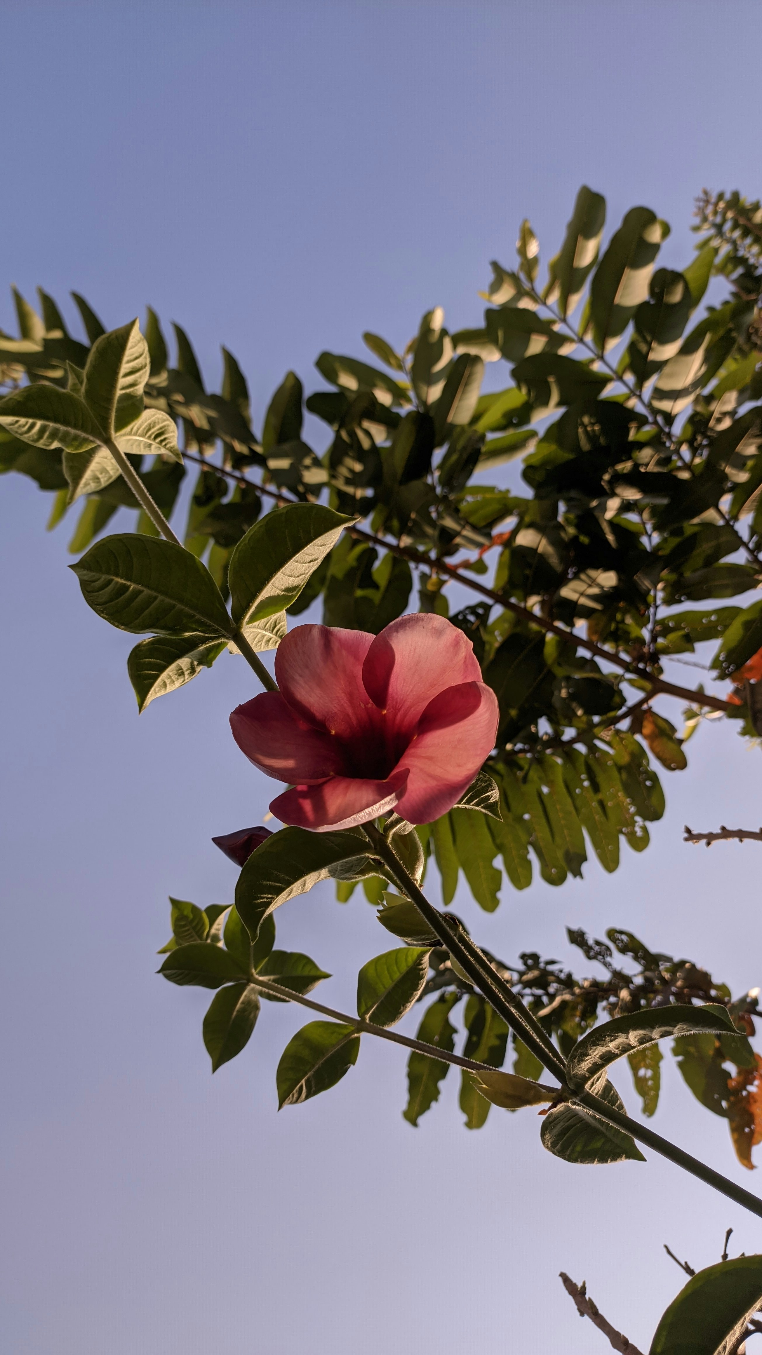 Photo by _t_h_o_y_y_i_b_