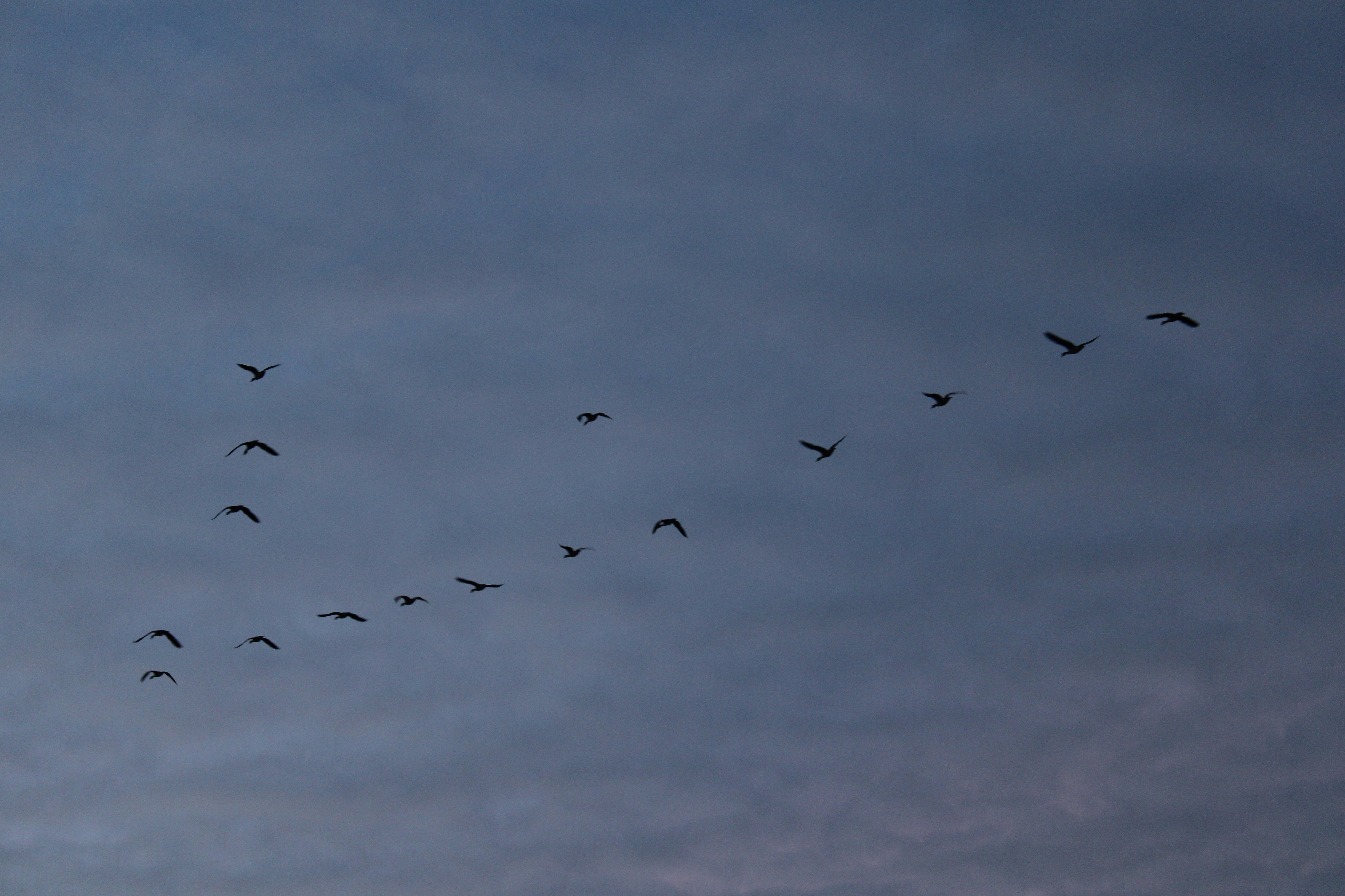 Saturday's FTB: Canucks in town for an evening game