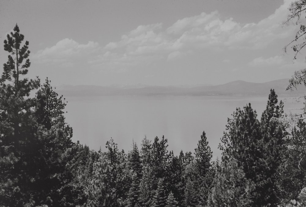 a black and white photo of a lake surrounded by trees