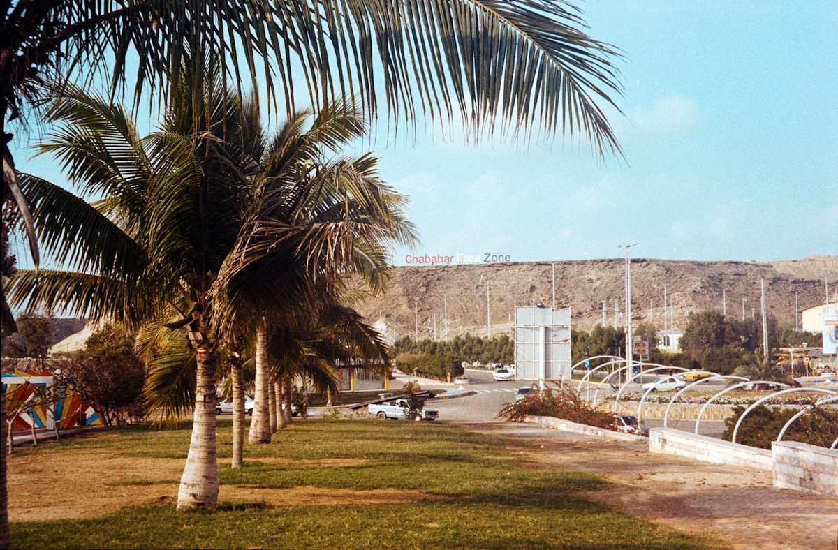 Palms and hills, Chabahar