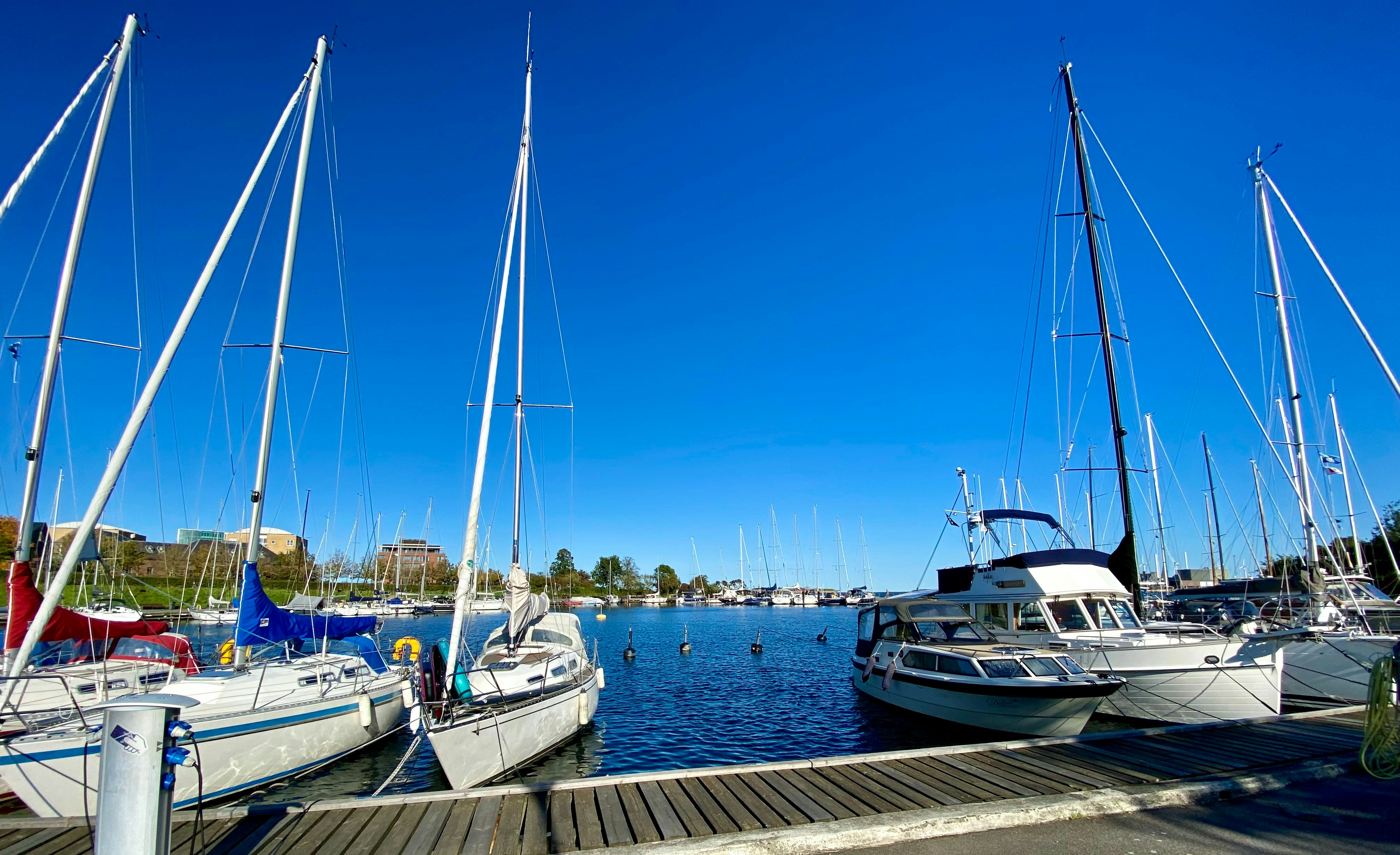 a group of sailboats docked at a pier