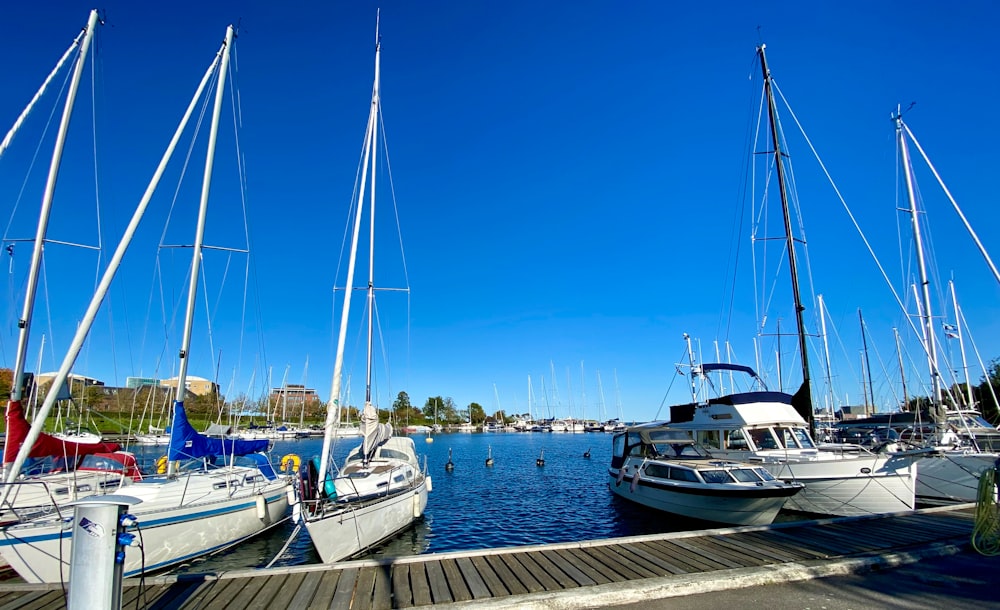 a group of sailboats docked at a pier