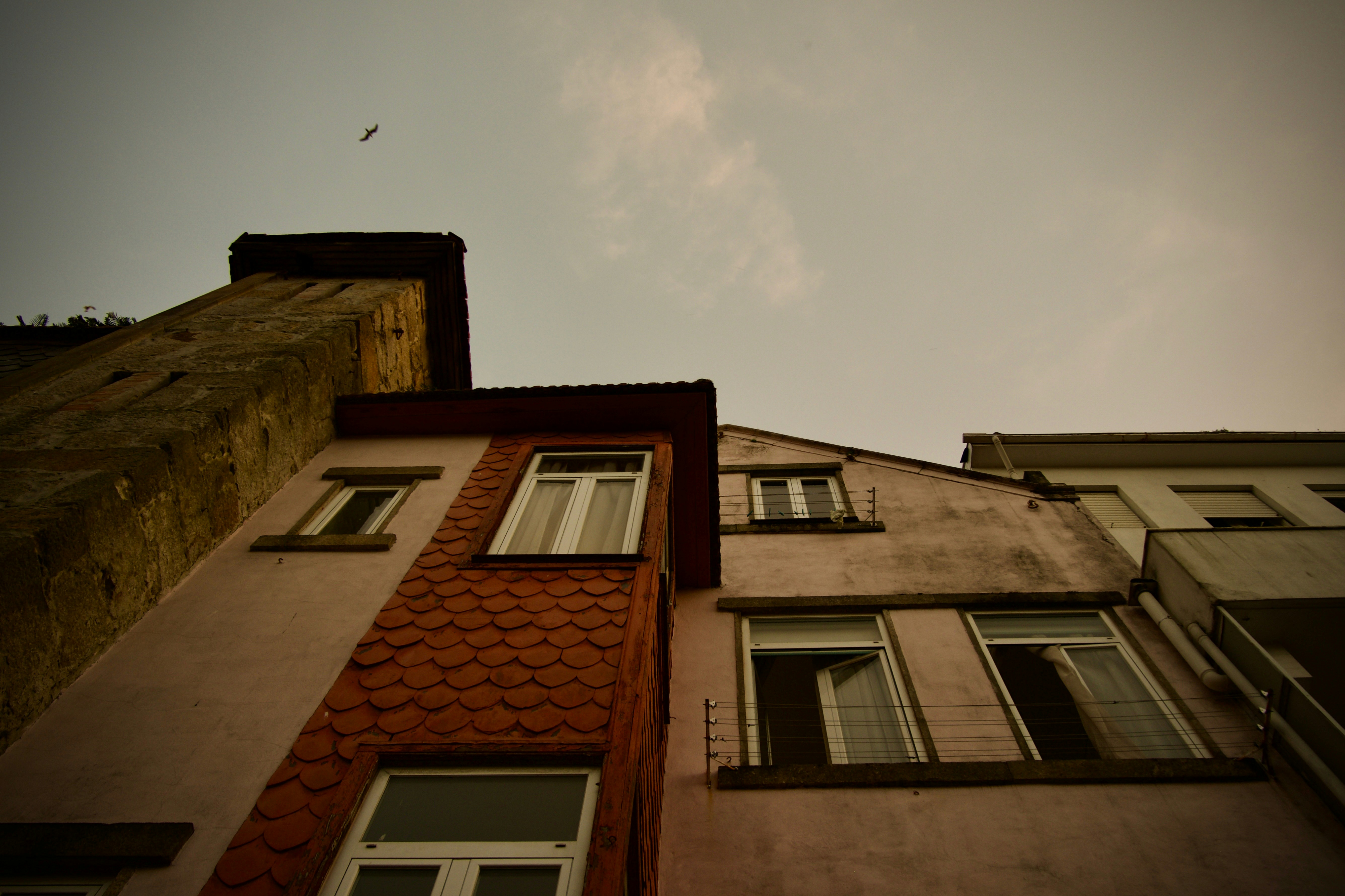 Photo by olho_goncaloliveira