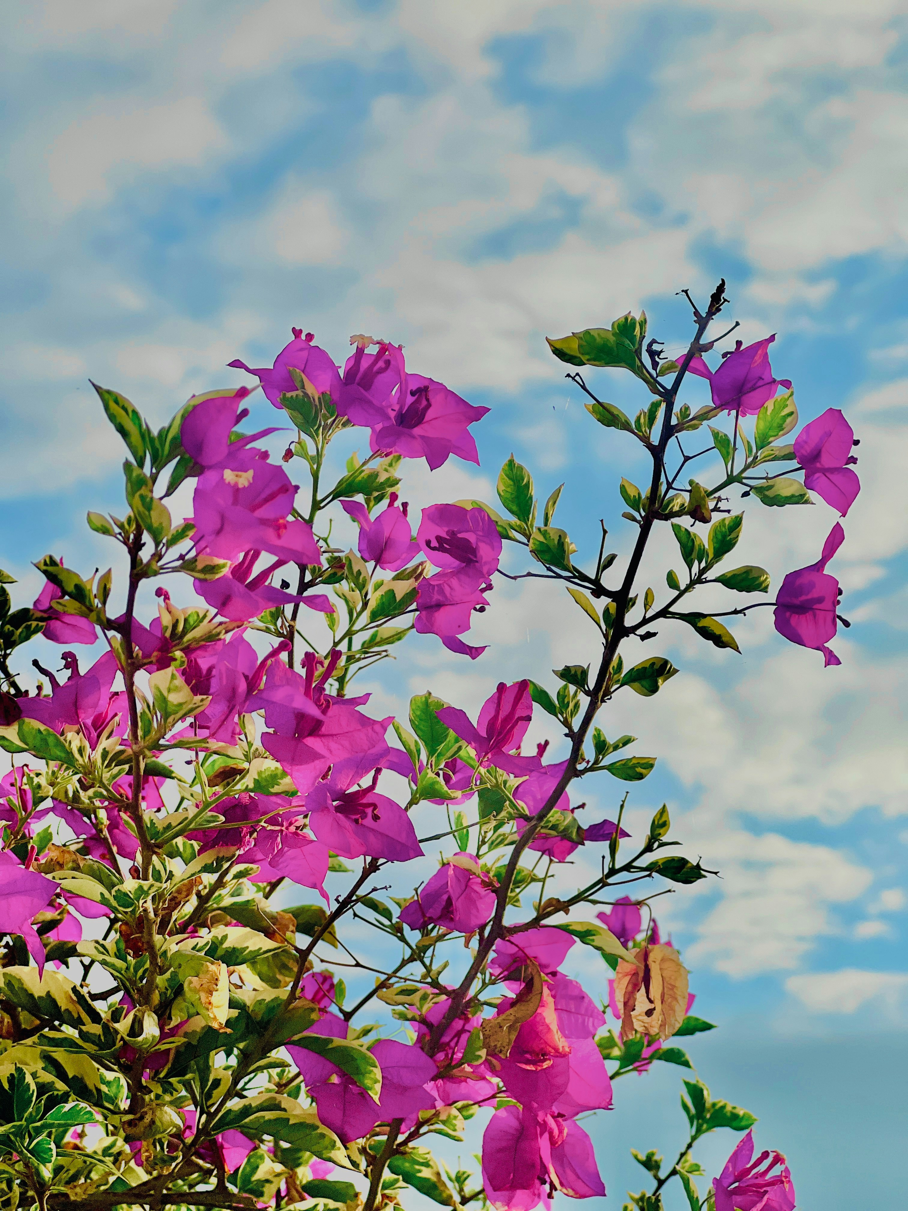 Photo by thanhliem178