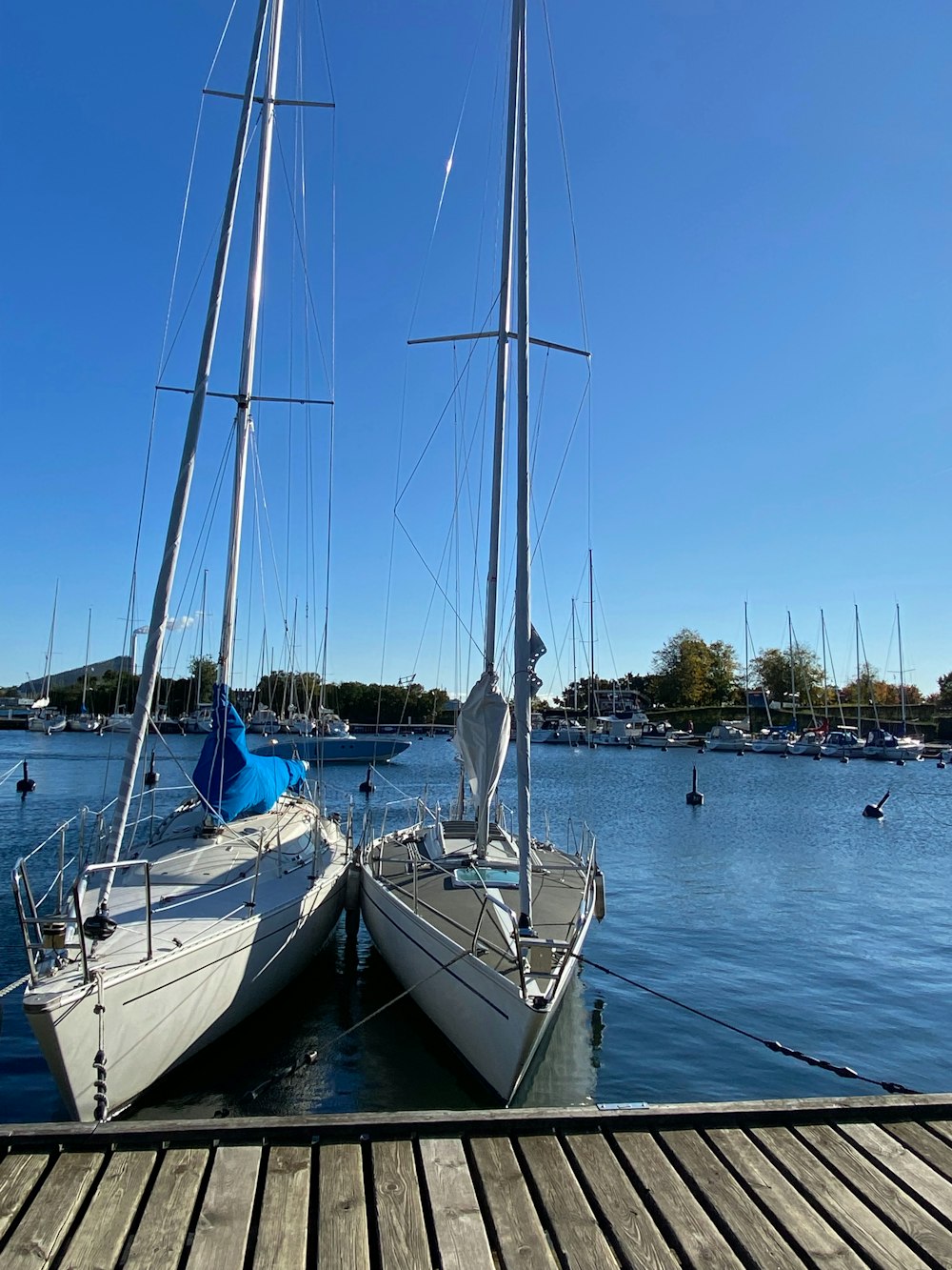 Due barche a vela attraccate a un molo in una giornata di sole