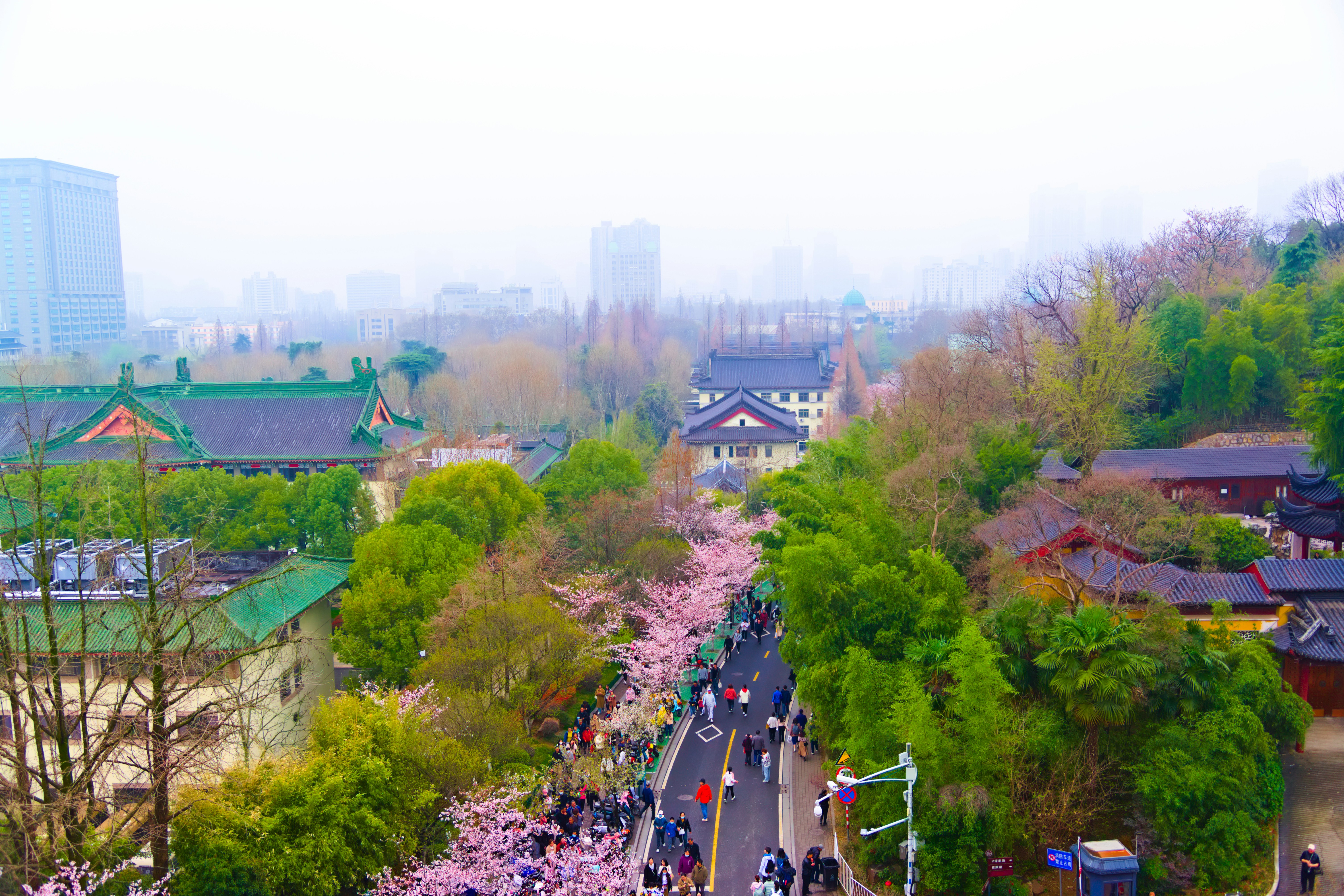 This Week In The Arts: Authority, Absurdity, and the Internet Age