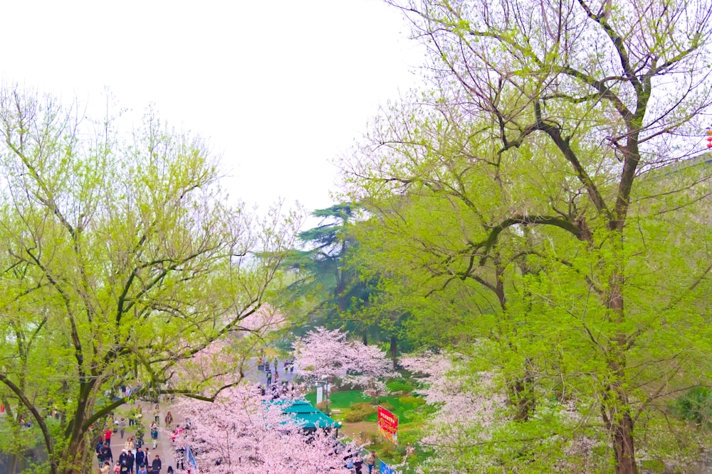 a group of people walking down a street next to trees