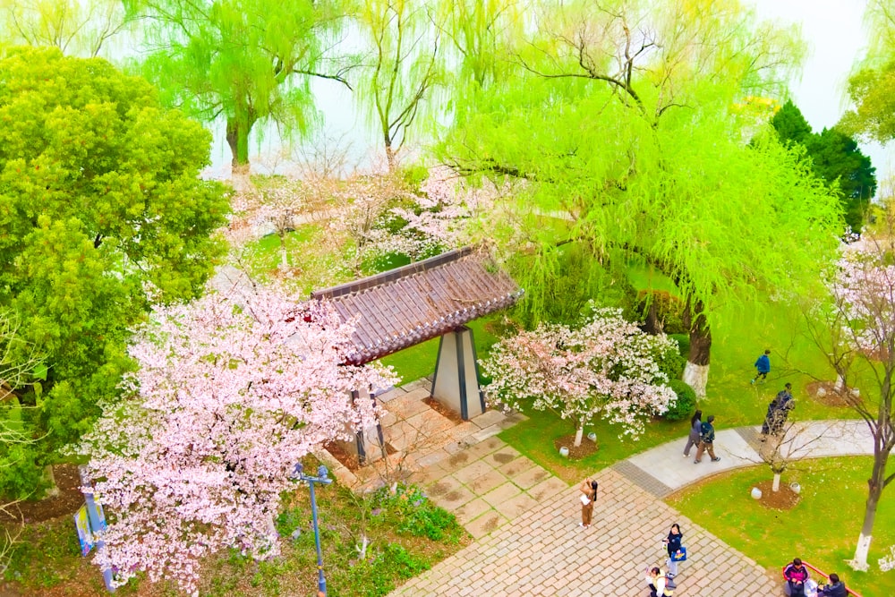 a group of people walking around a park