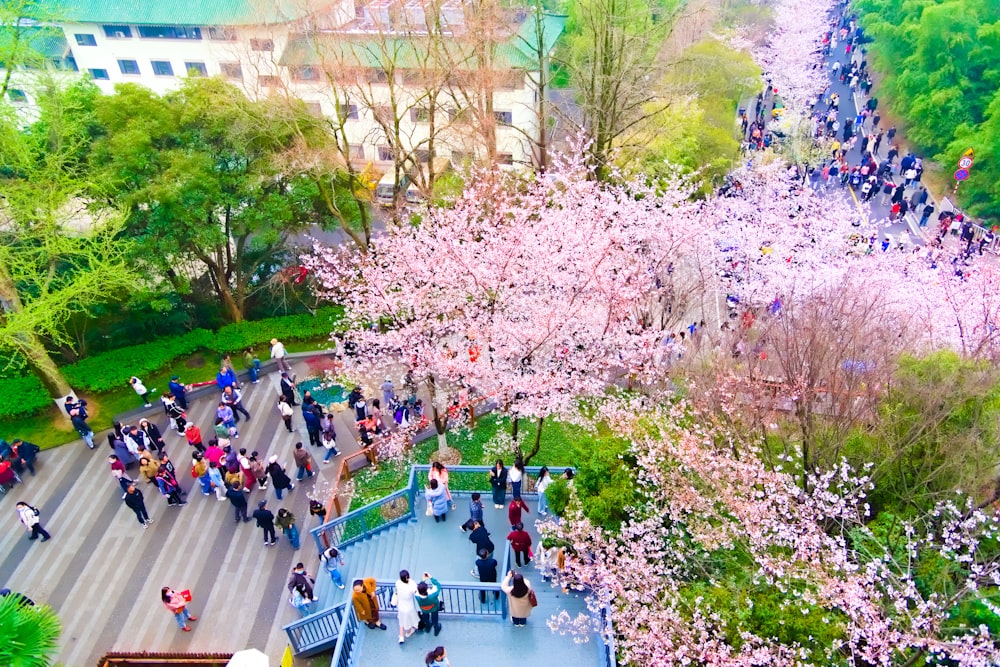 a large group of people walking down a street