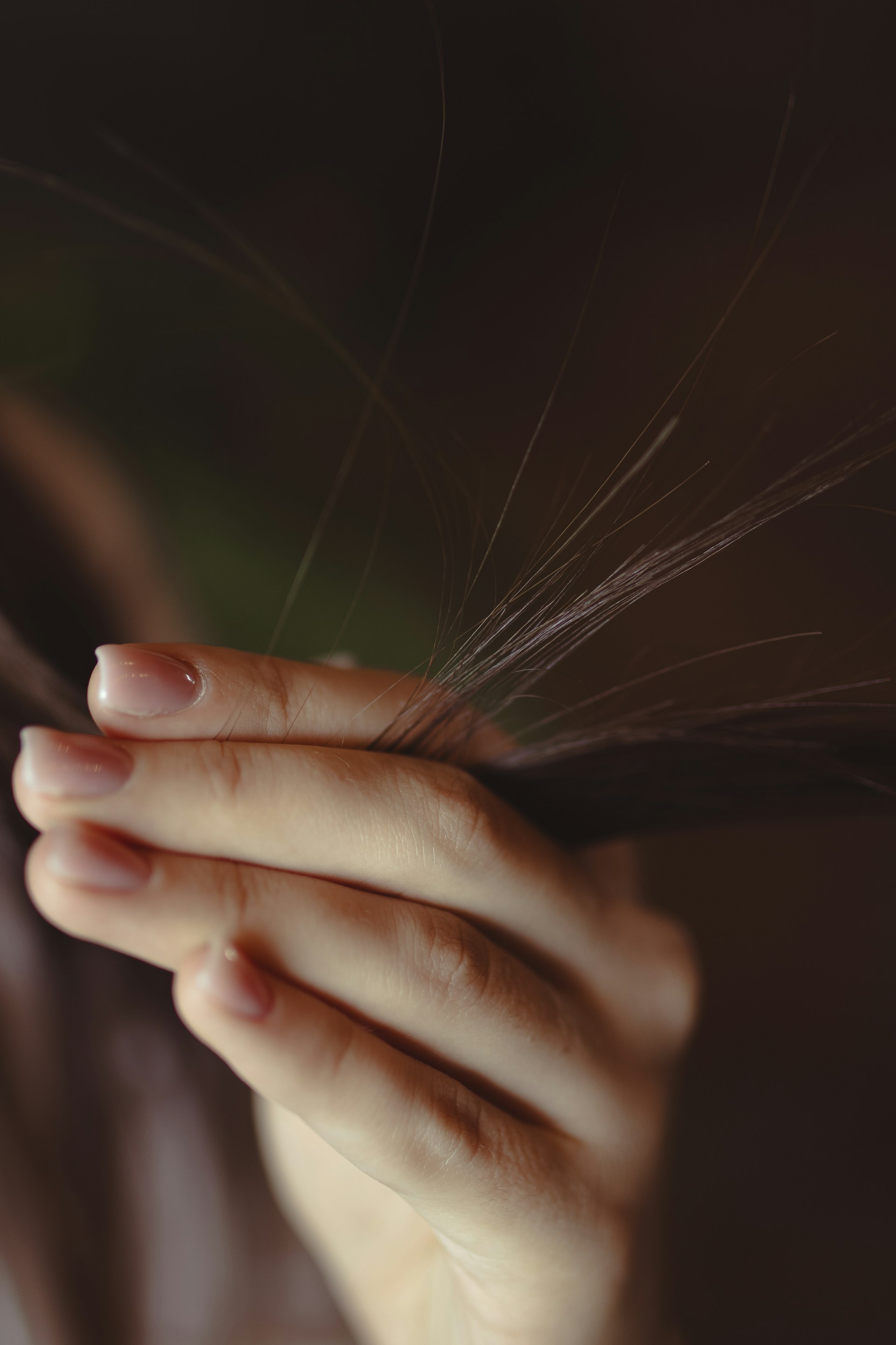 a close up of a person's hands holding a feather