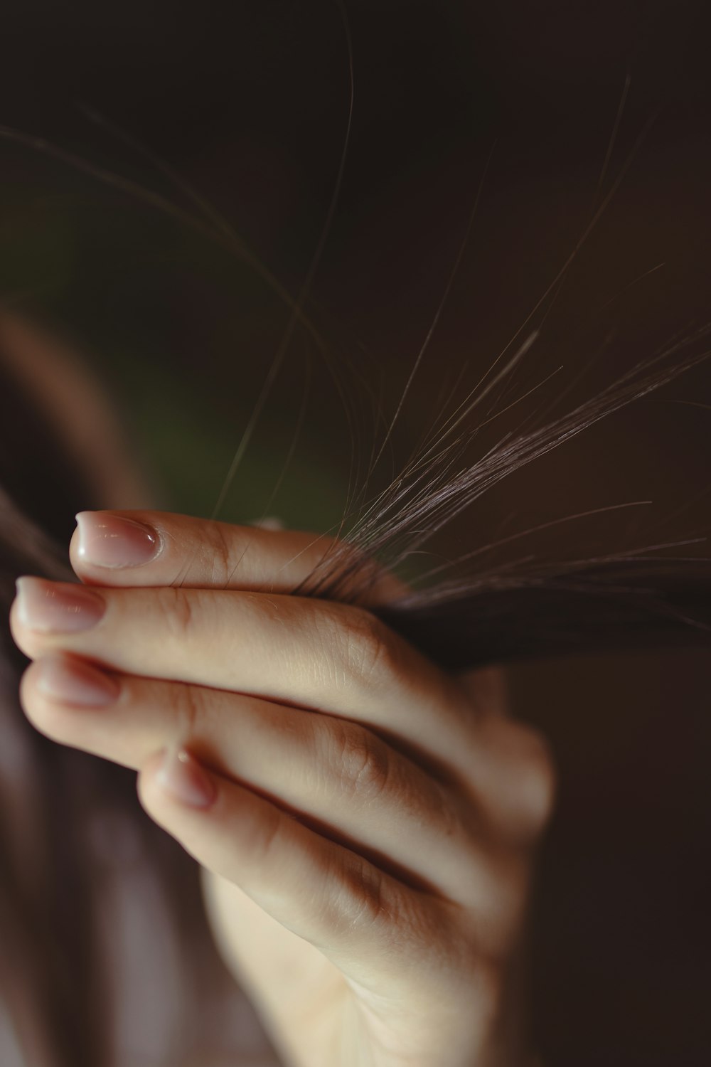 a close up of a person's hands holding a feather
