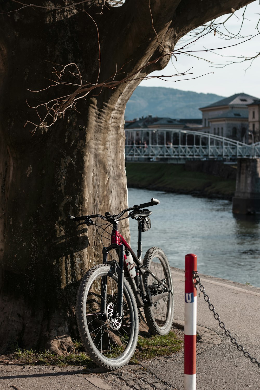 a bicycle chained to a tree next to a river
