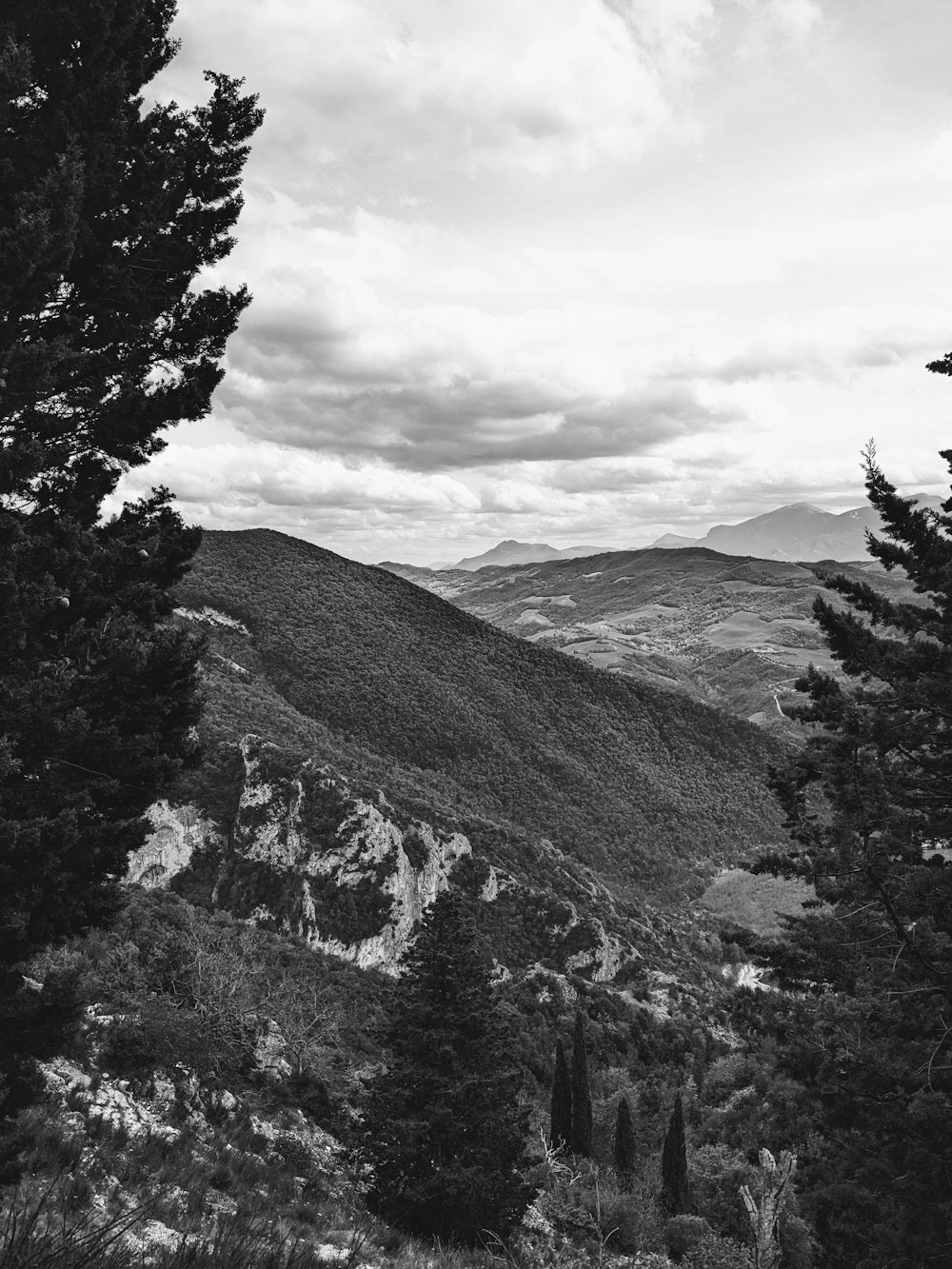 a black and white photo of mountains and trees