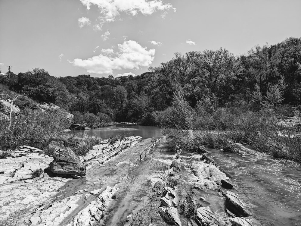 a black and white photo of a river