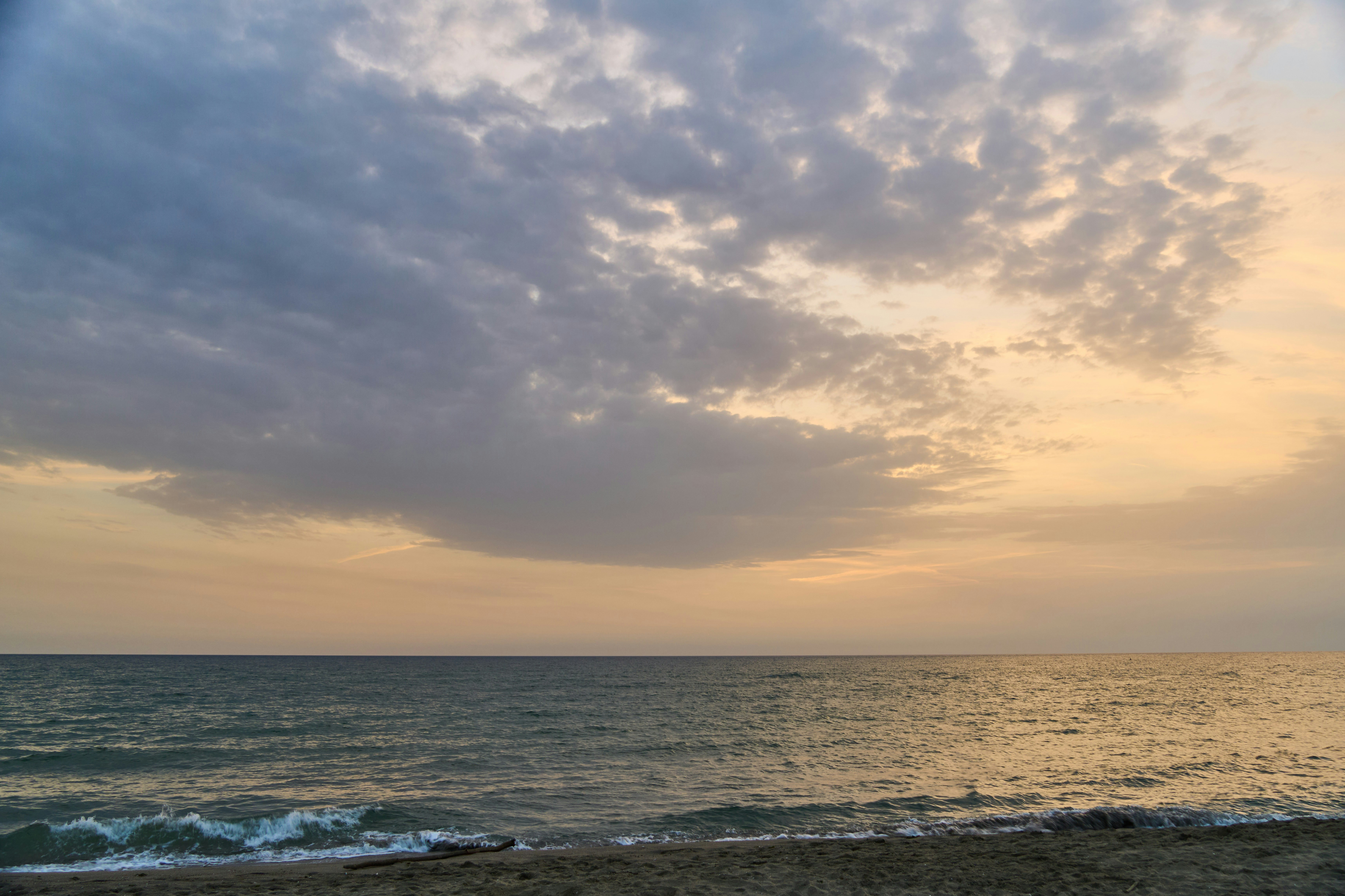 Photo by wolfgang_hasselmann