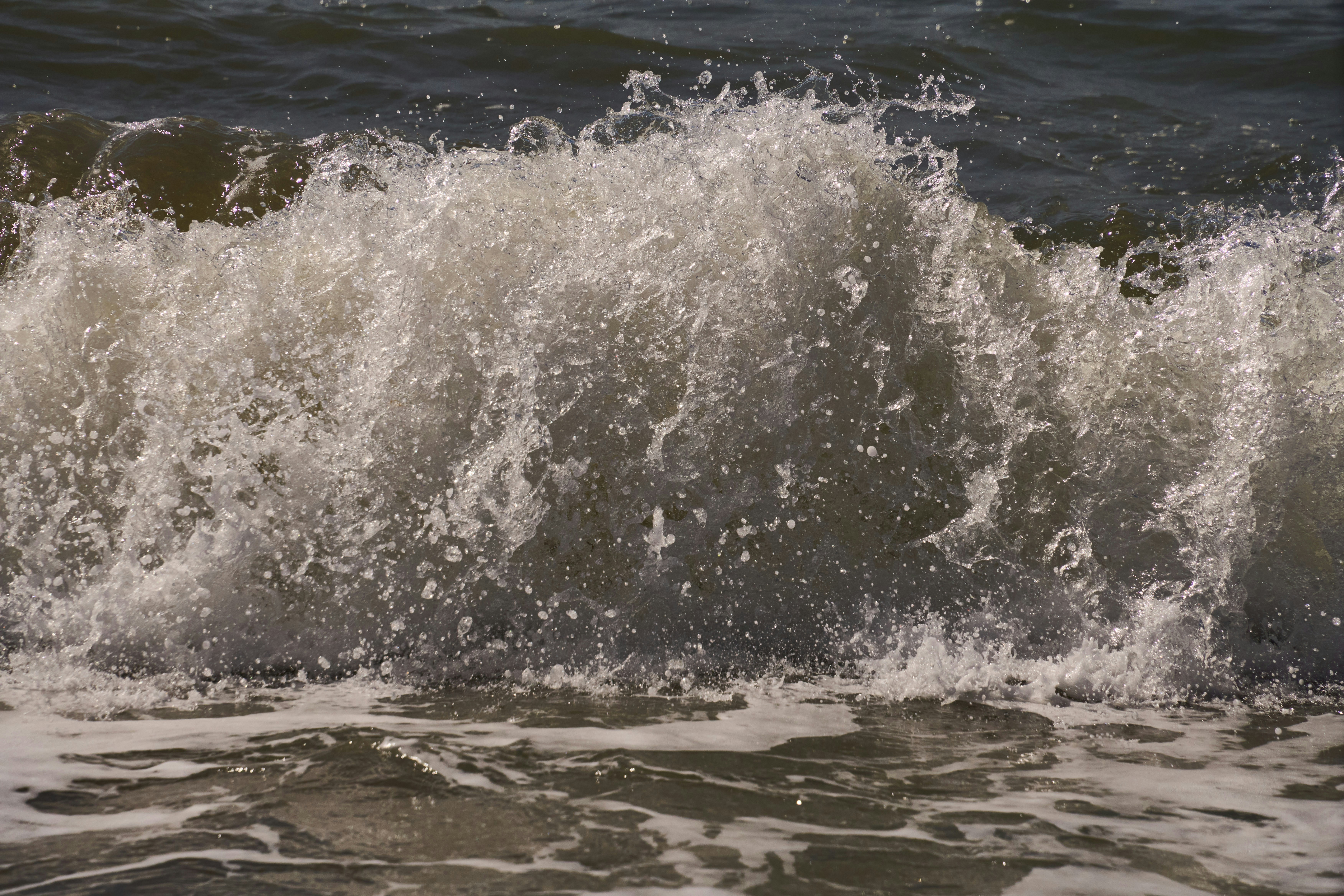 Photo by wolfgang_hasselmann