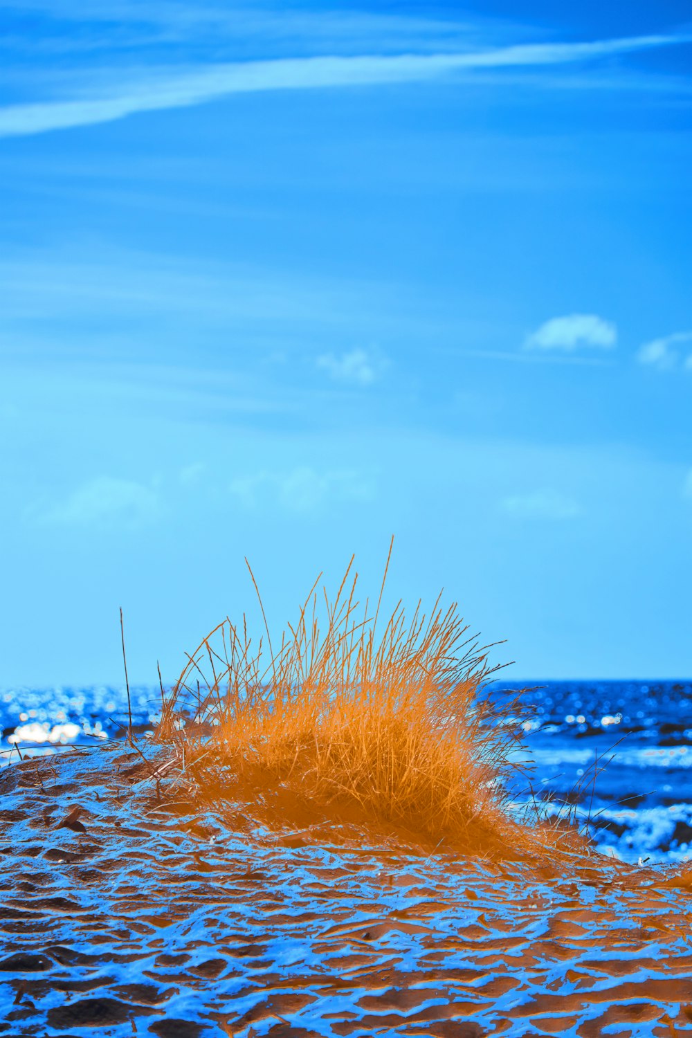 an orange substance is floating in the water