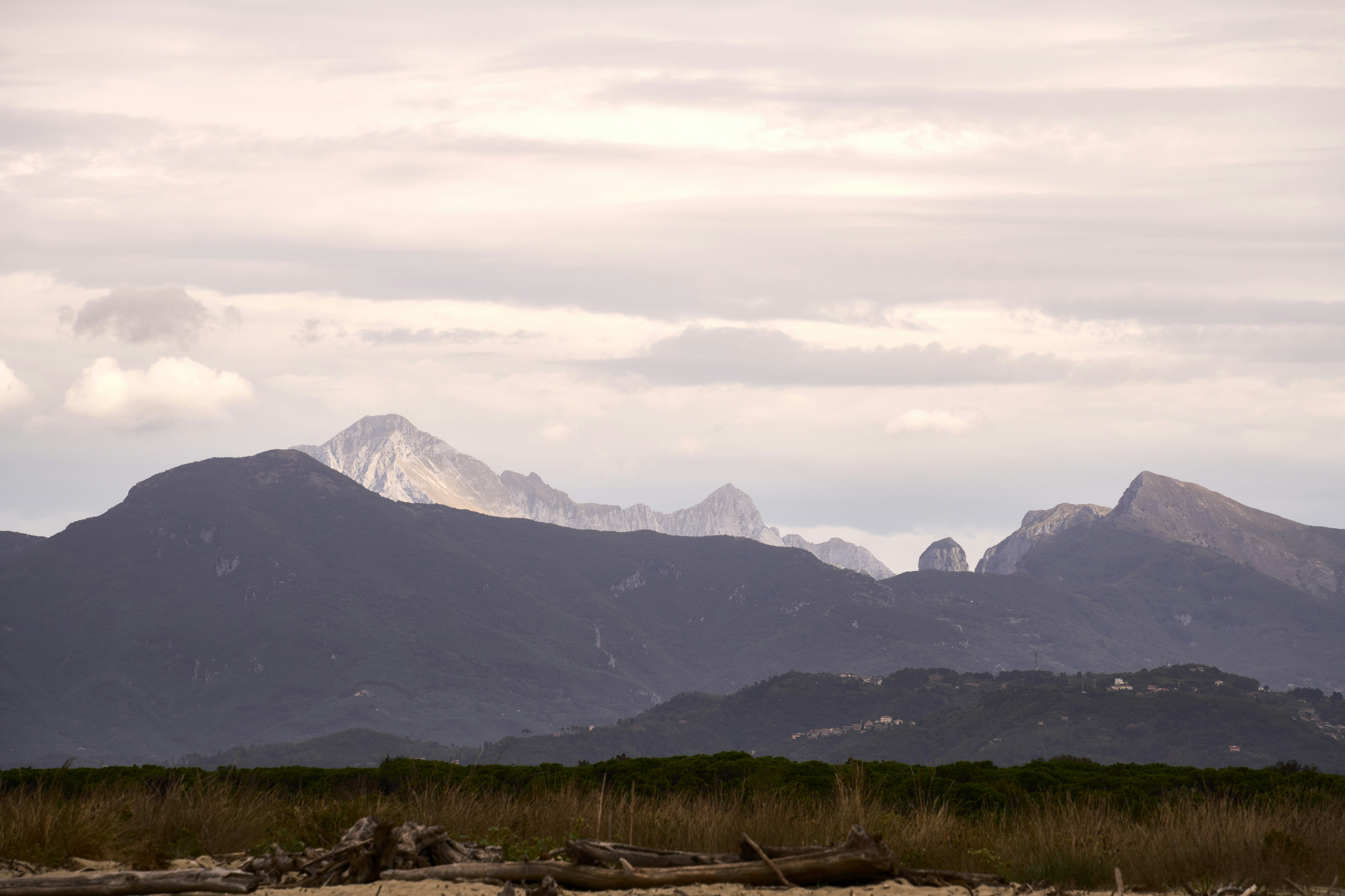 Photo by wolfgang_hasselmann