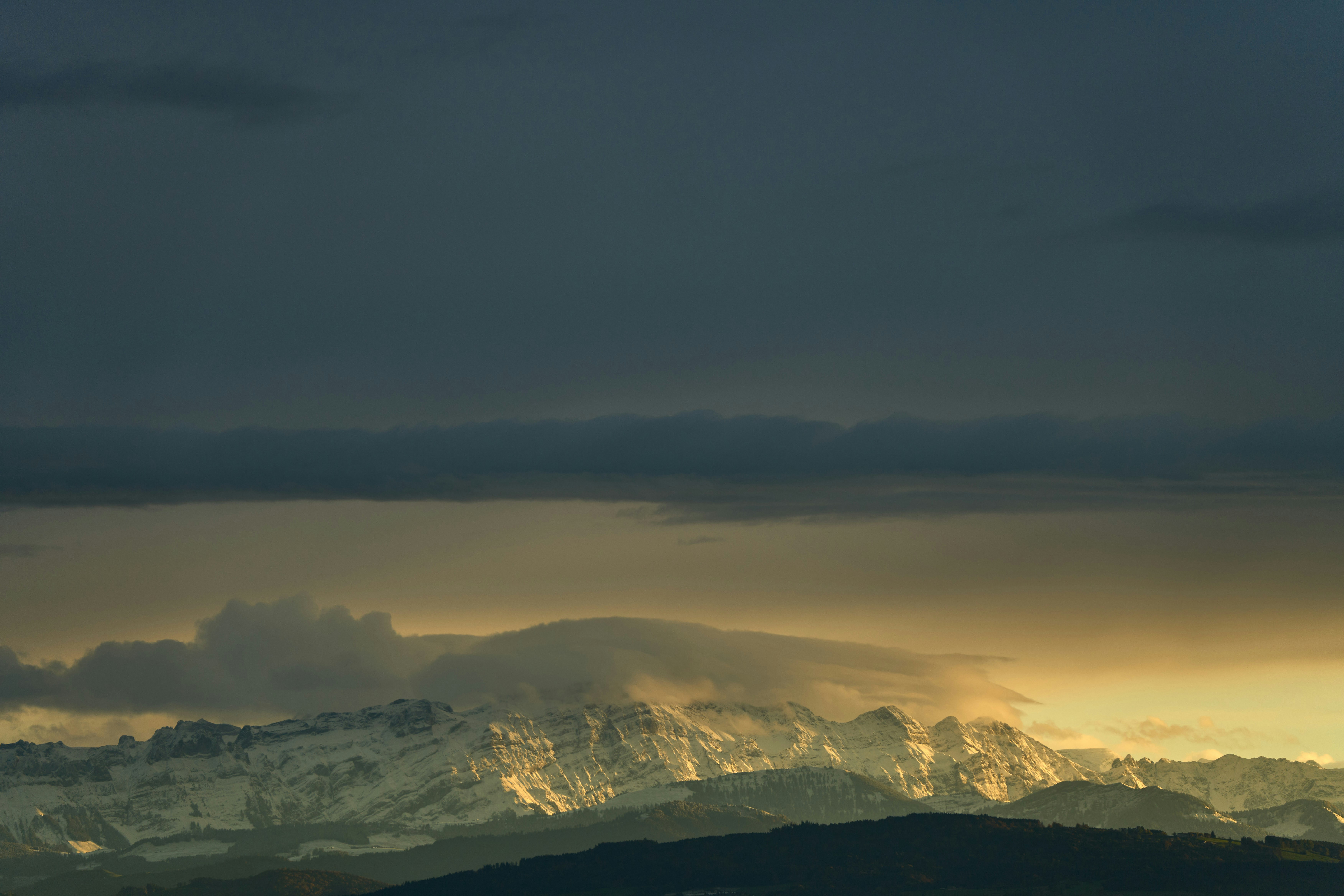 Photo by wolfgang_hasselmann