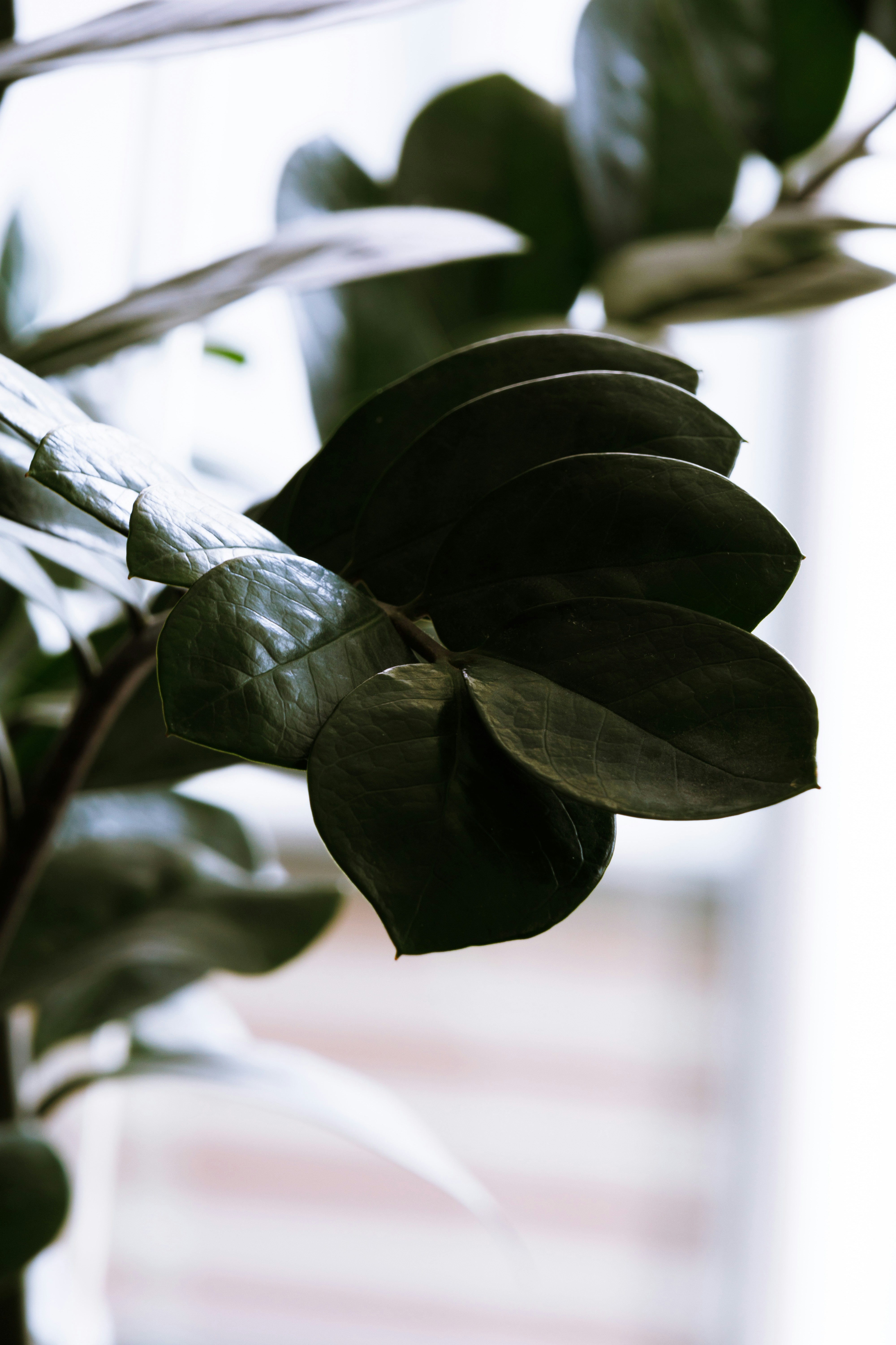 Photo by janezarubova