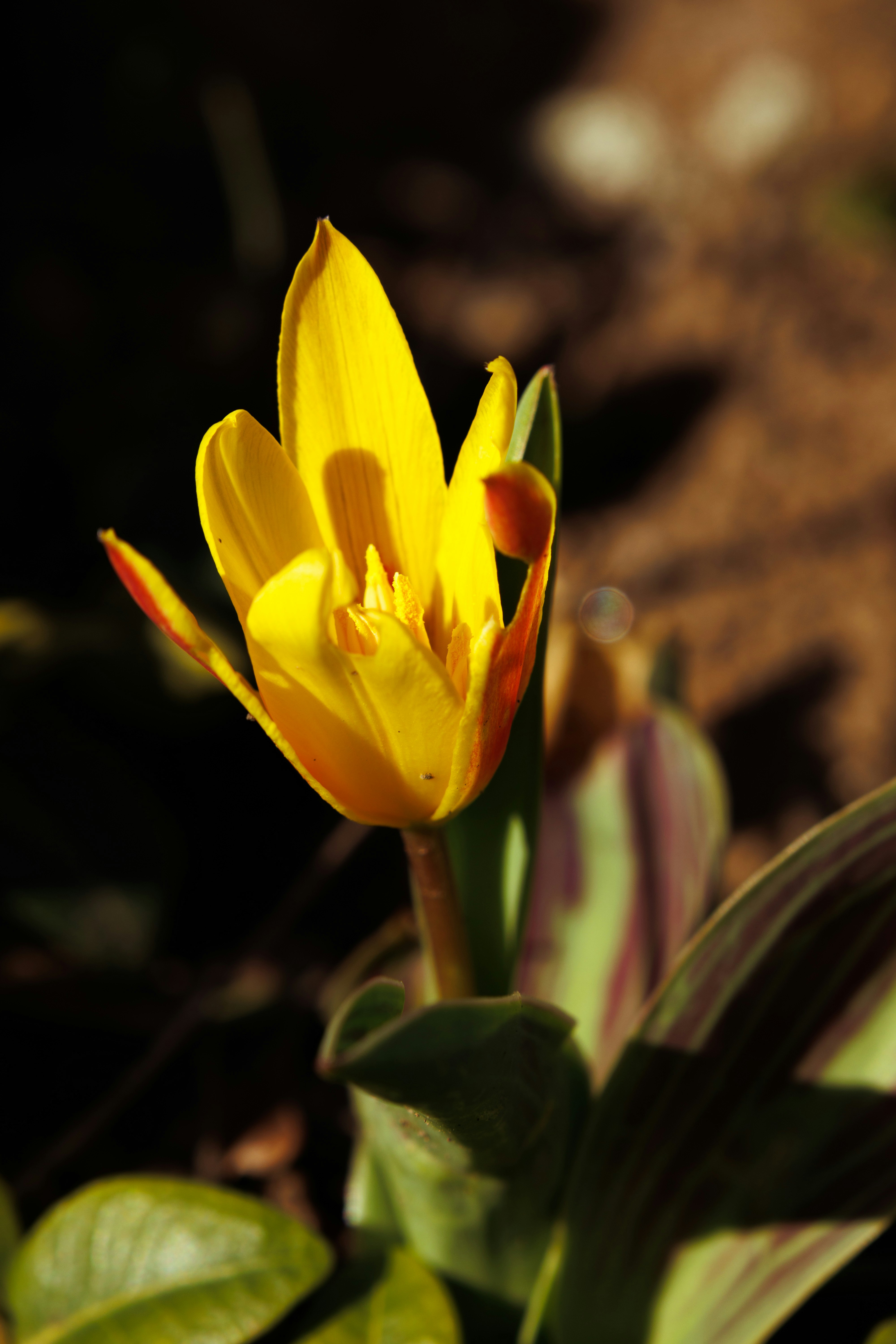 Photo by janezarubova