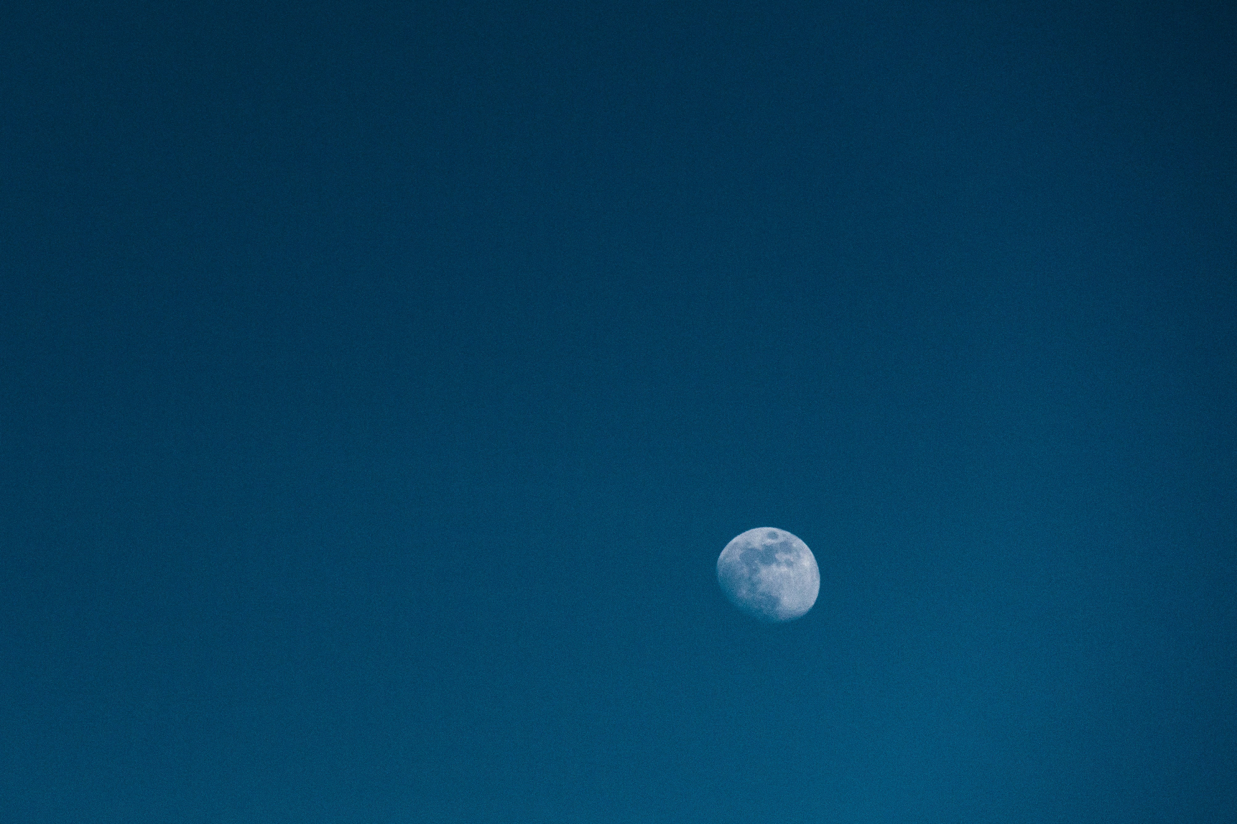 Photo by janezarubova