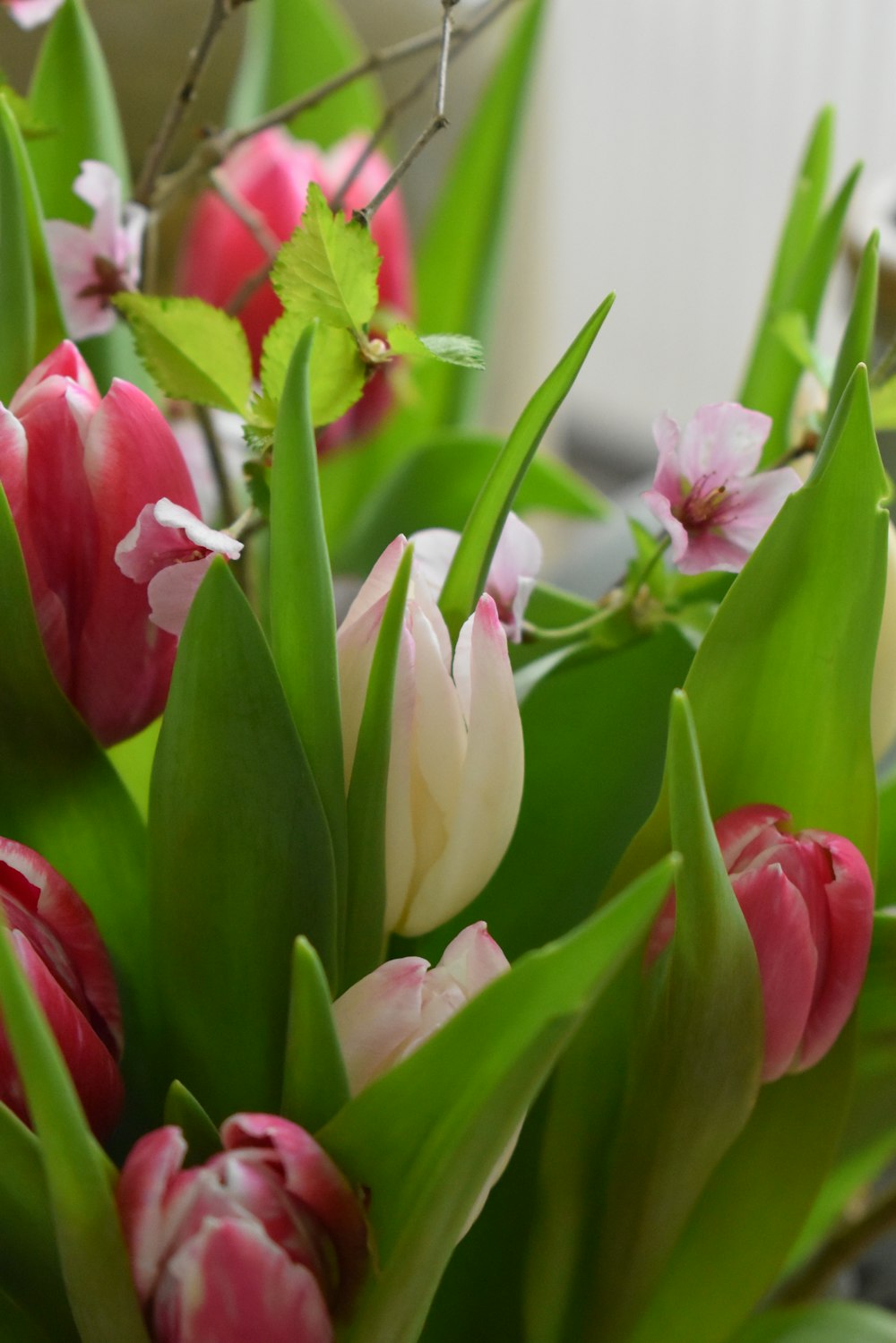 a vase filled with lots of pink and white flowers