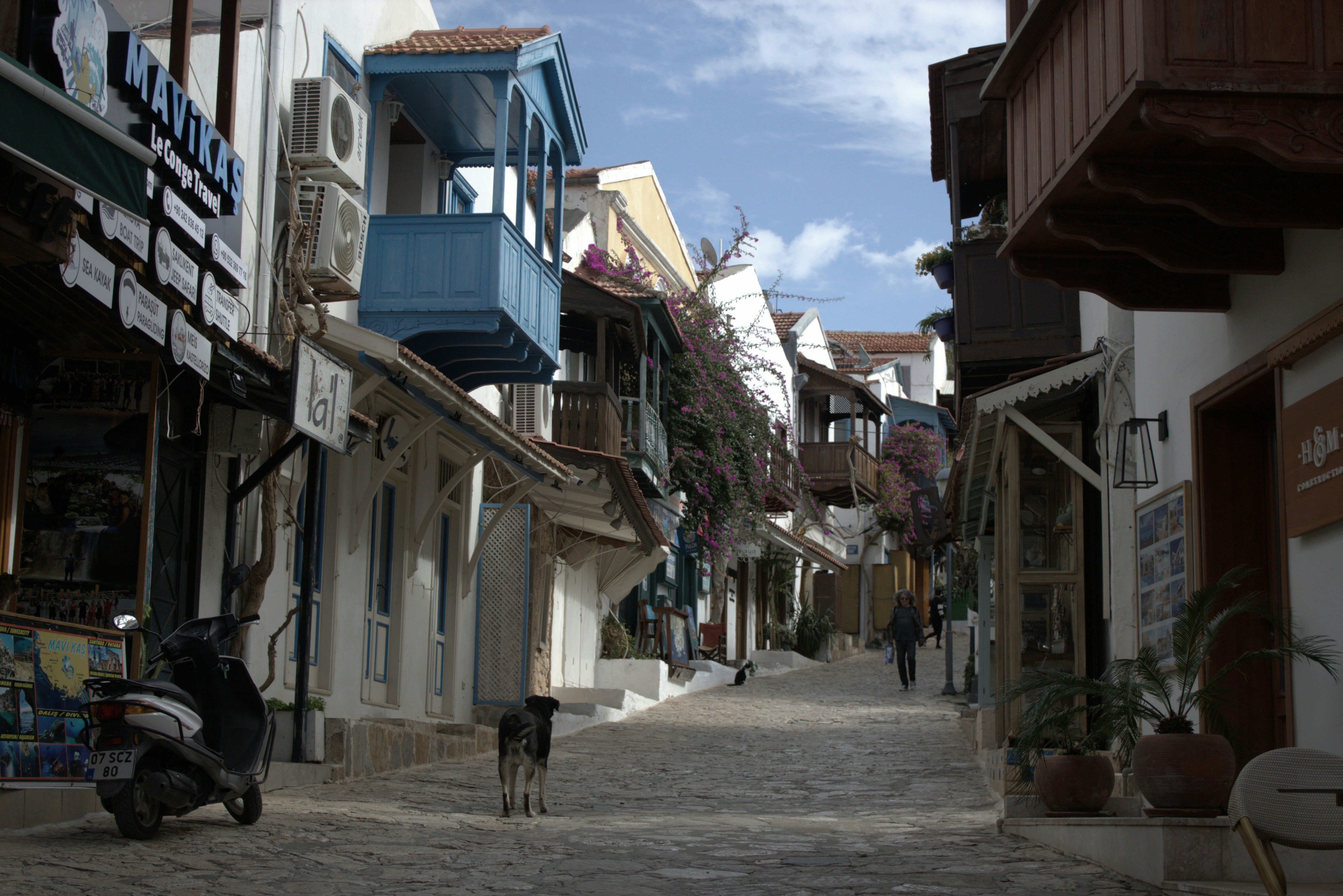Şanlıdere Caddesi Modernleşiyor; Gaziantep’te YKS Eğitimleri Başladı - Yaşam haberi görseli