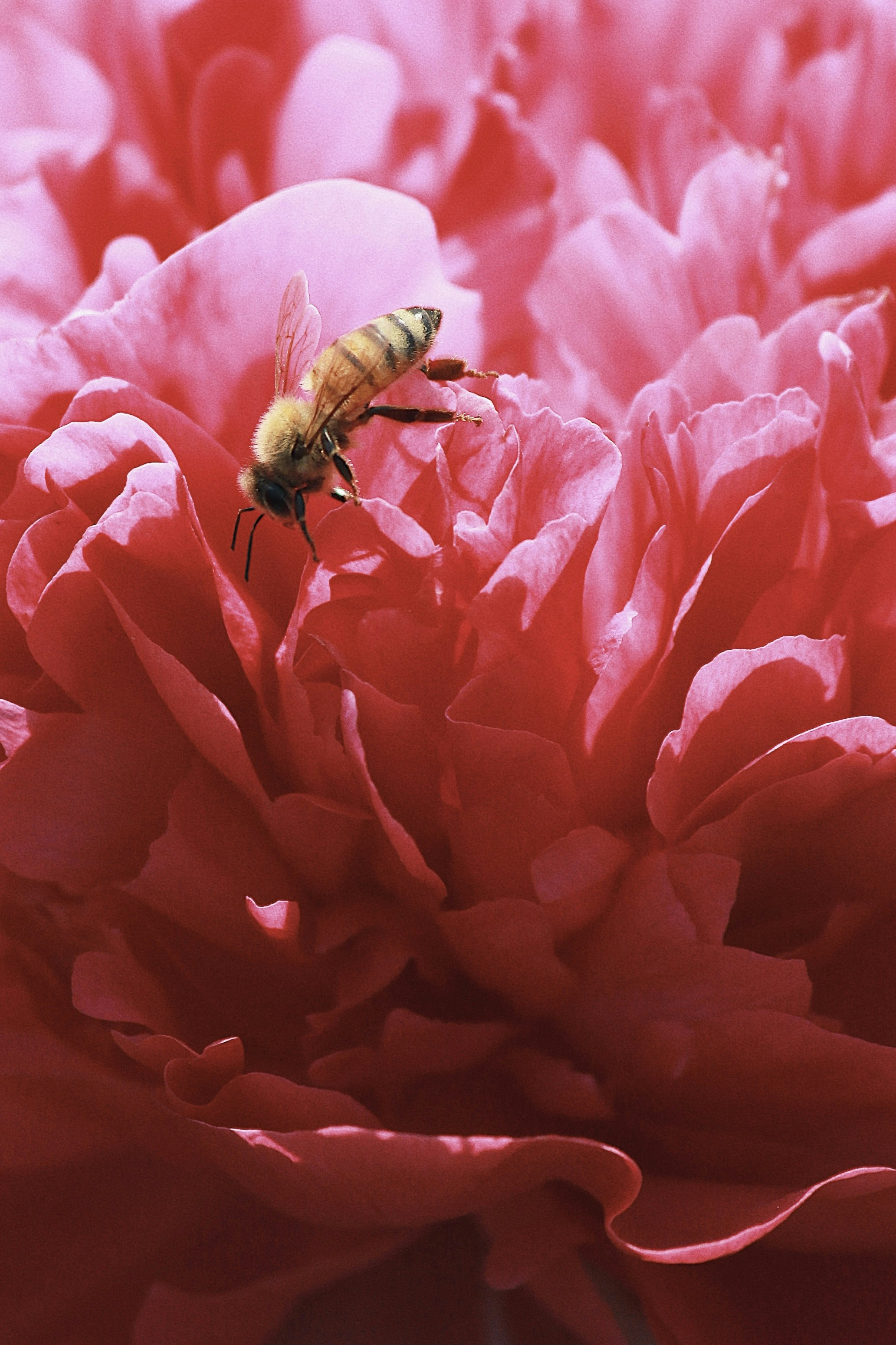 Photo by recordarsew