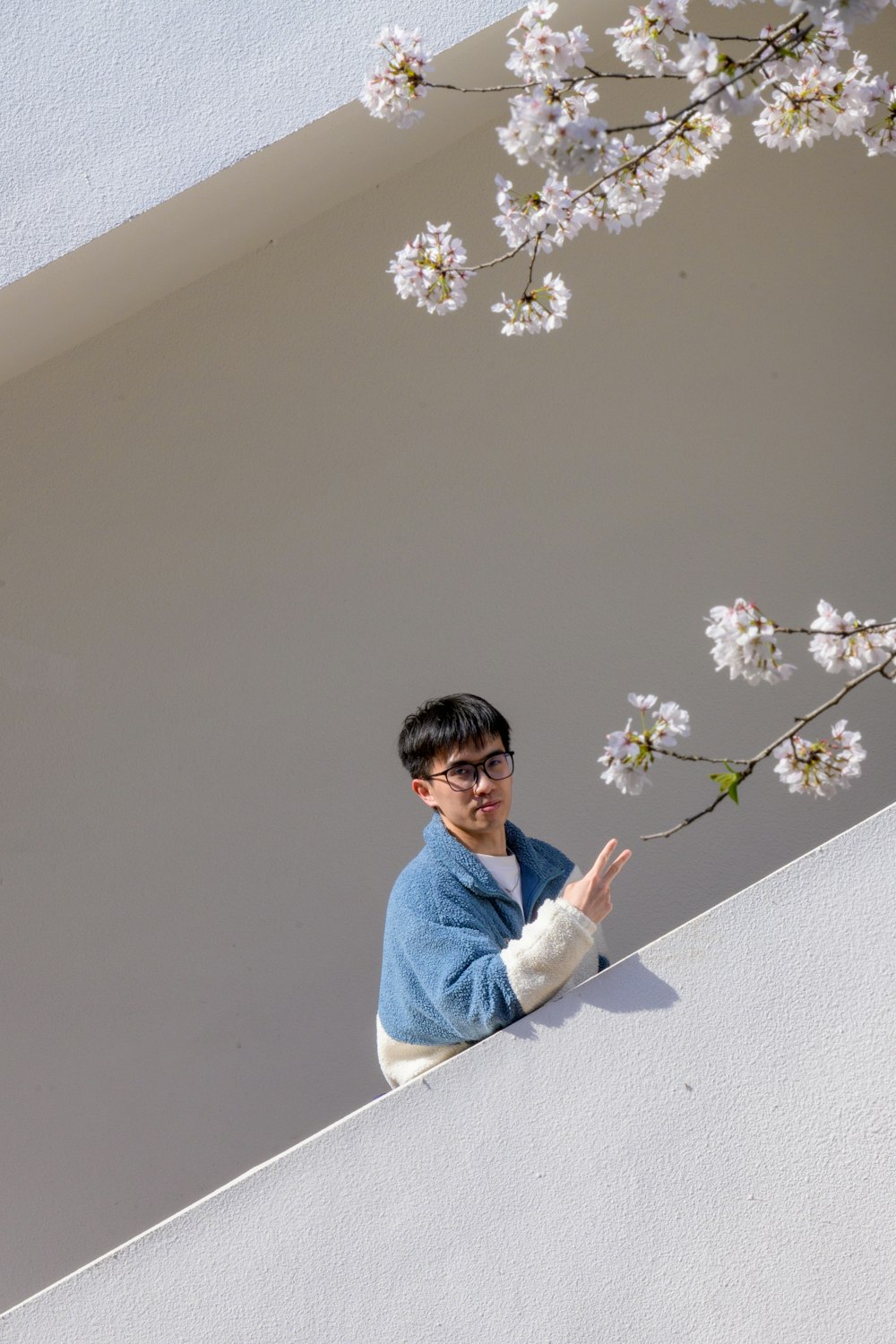 a man standing on a ledge next to a tree