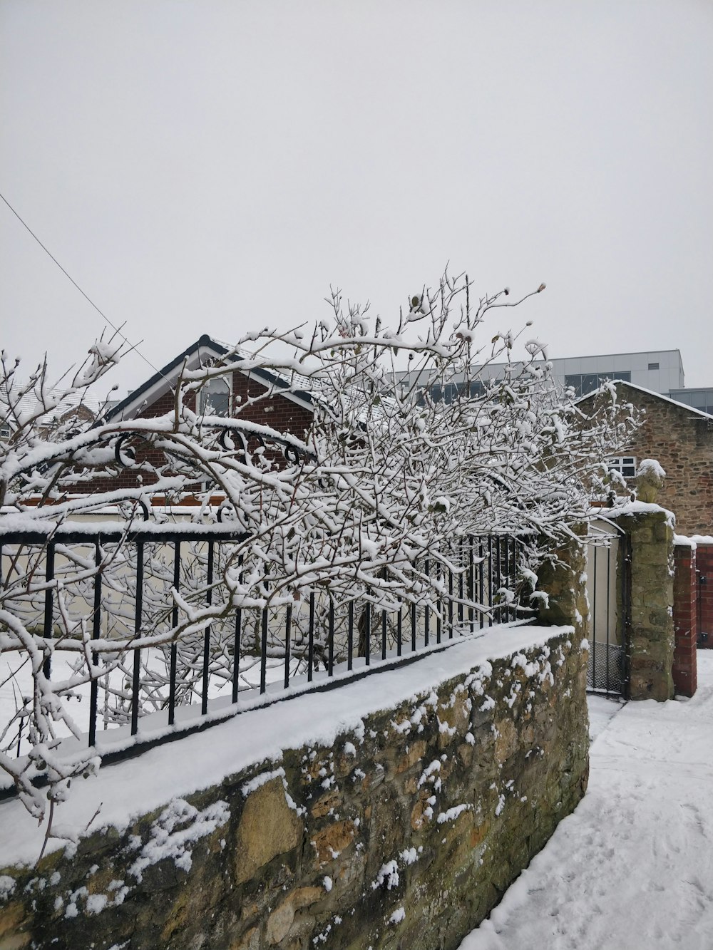 a snow covered tree next to a stone wall