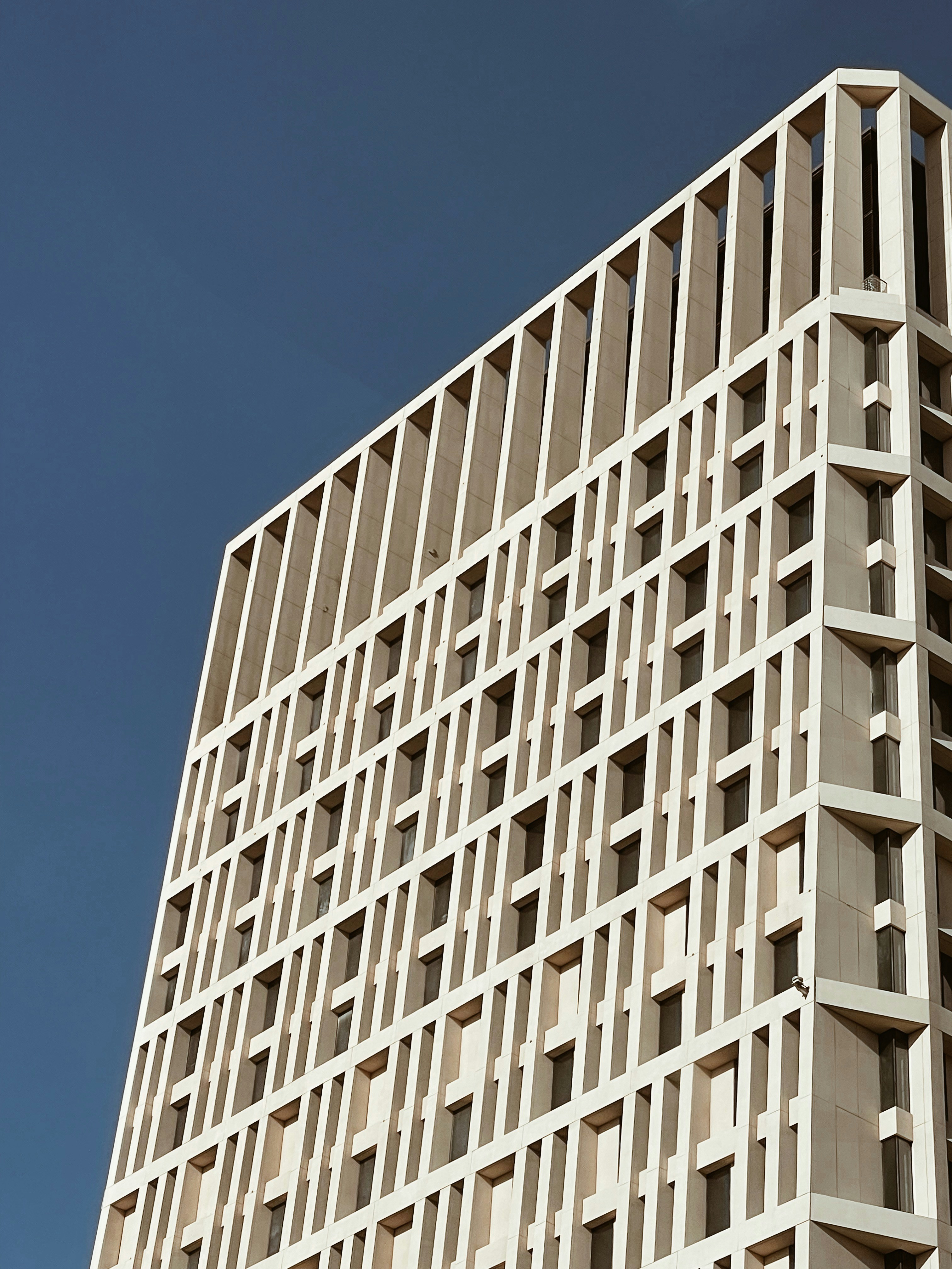 Photo by muhammedfardeen