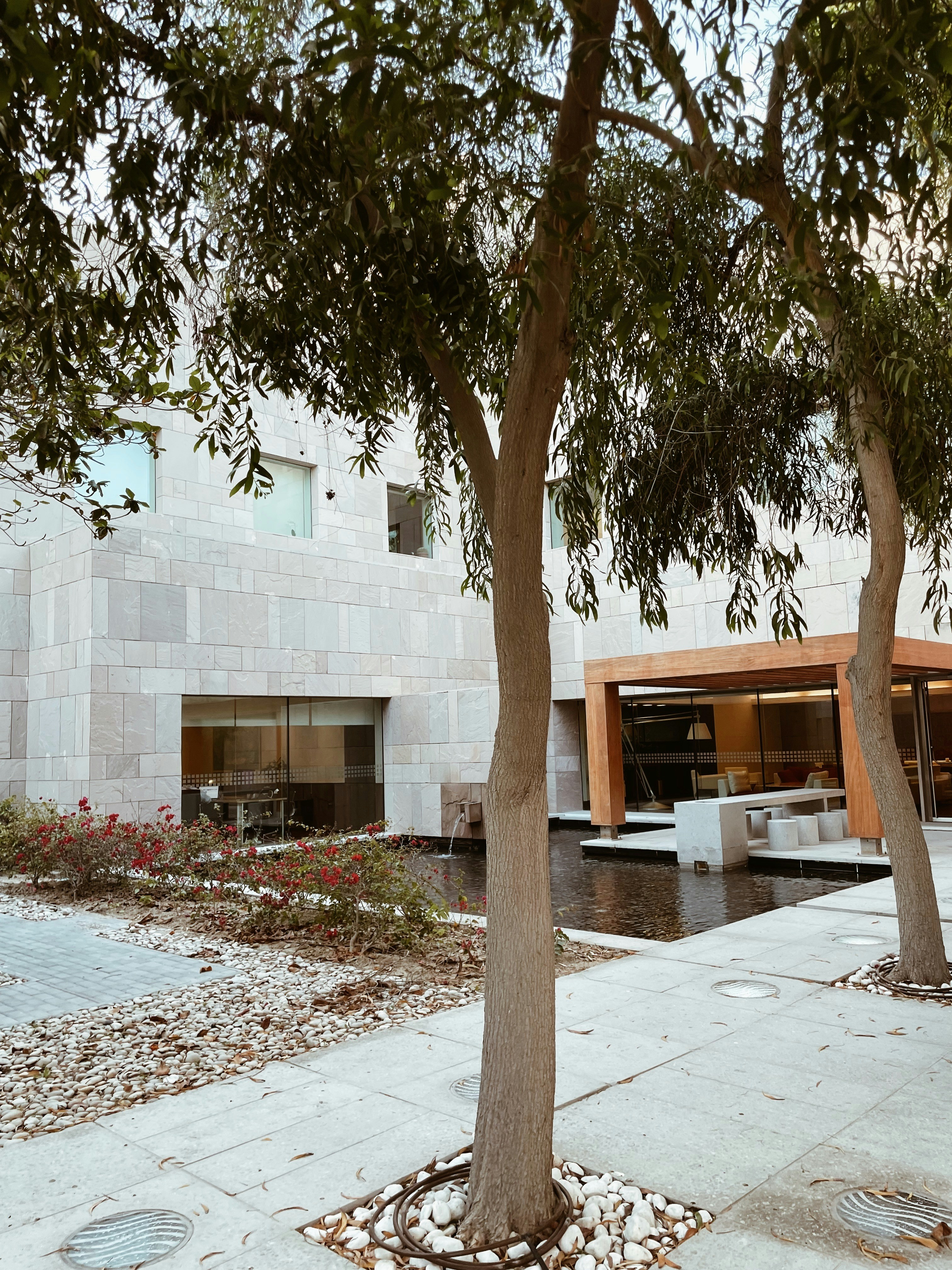 Photo by muhammedfardeen