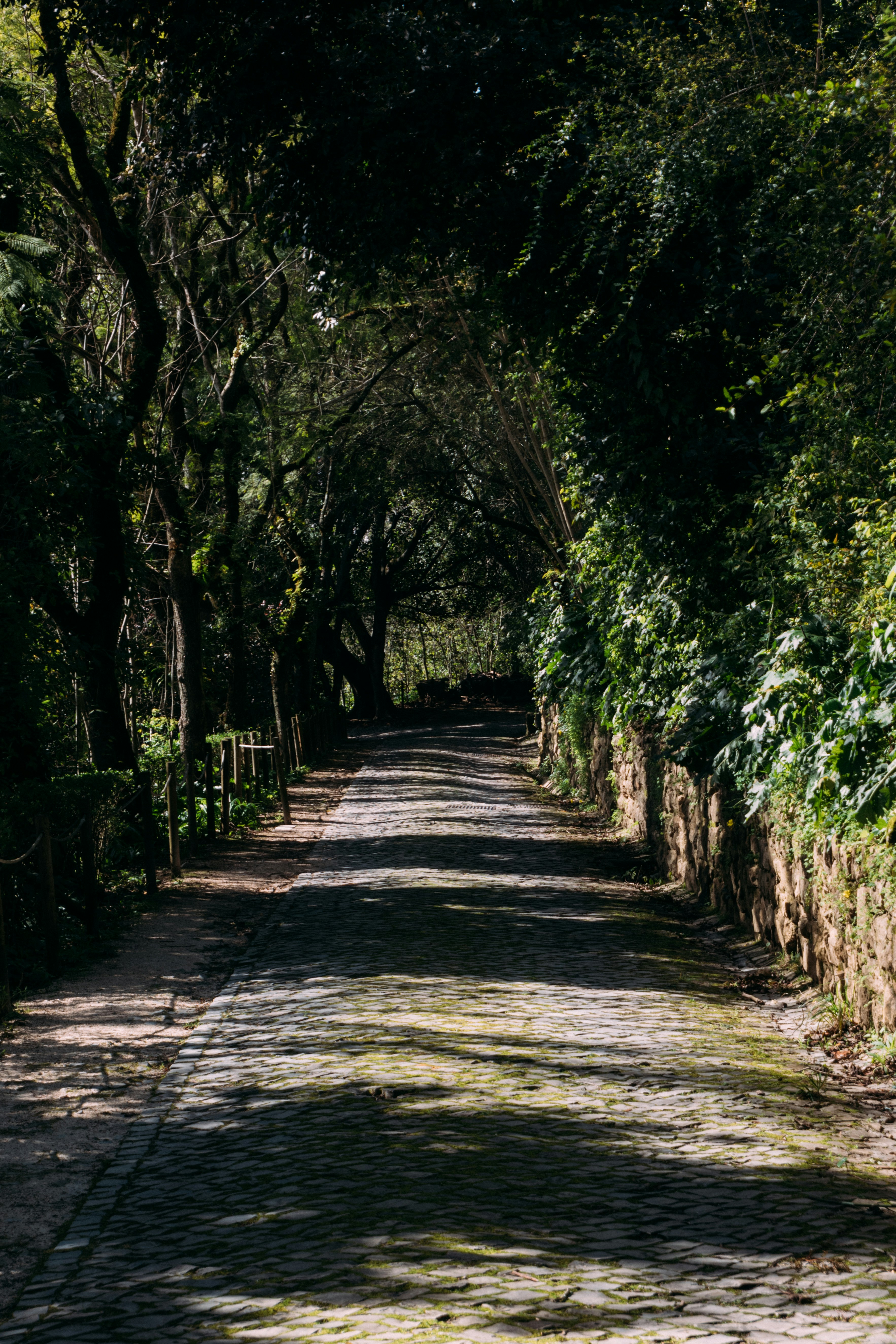 Photo by snapshot_journey