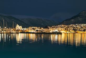 a night time view of a city and a body of water