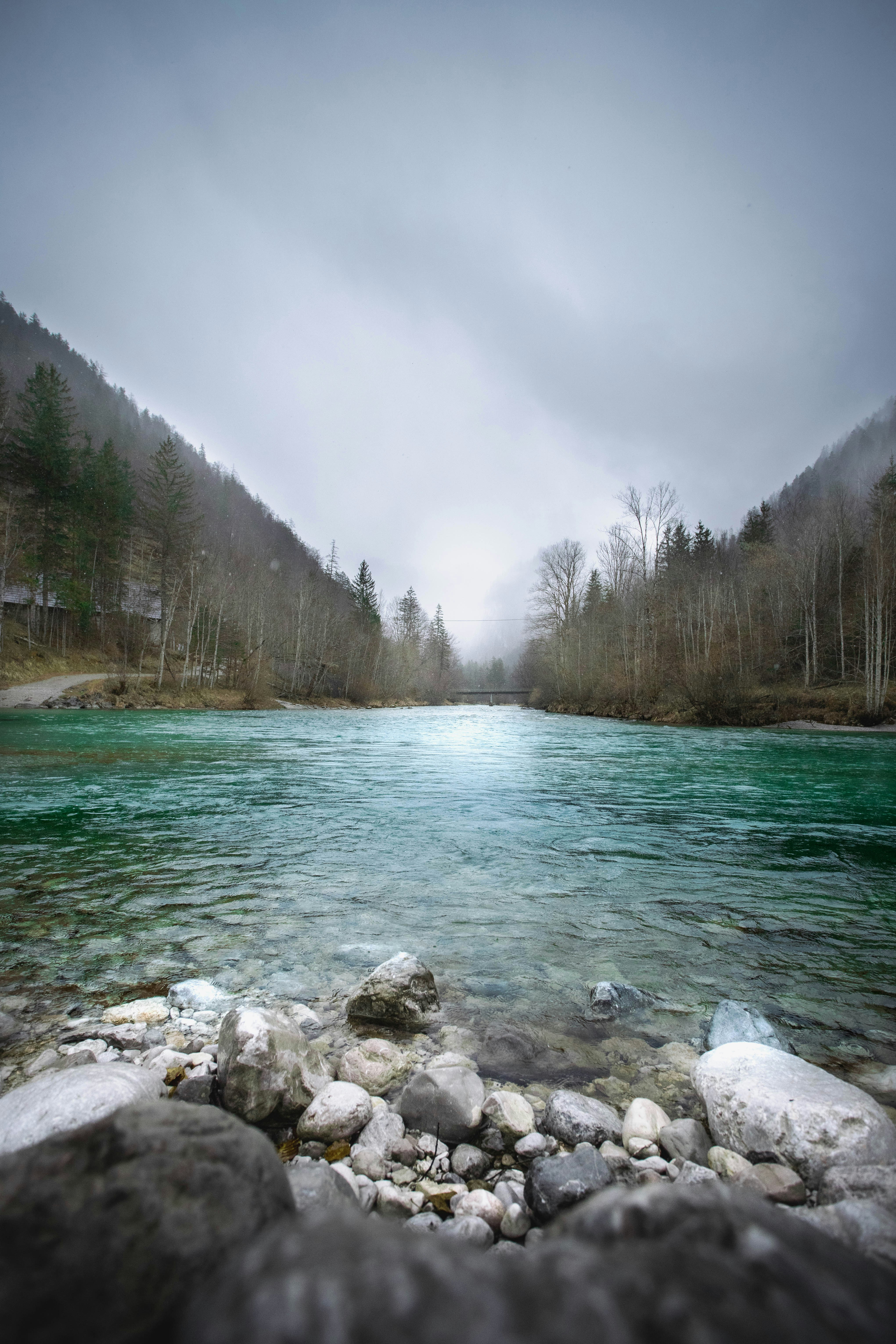 uno specchio d'acqua circondato da alberi e rocce