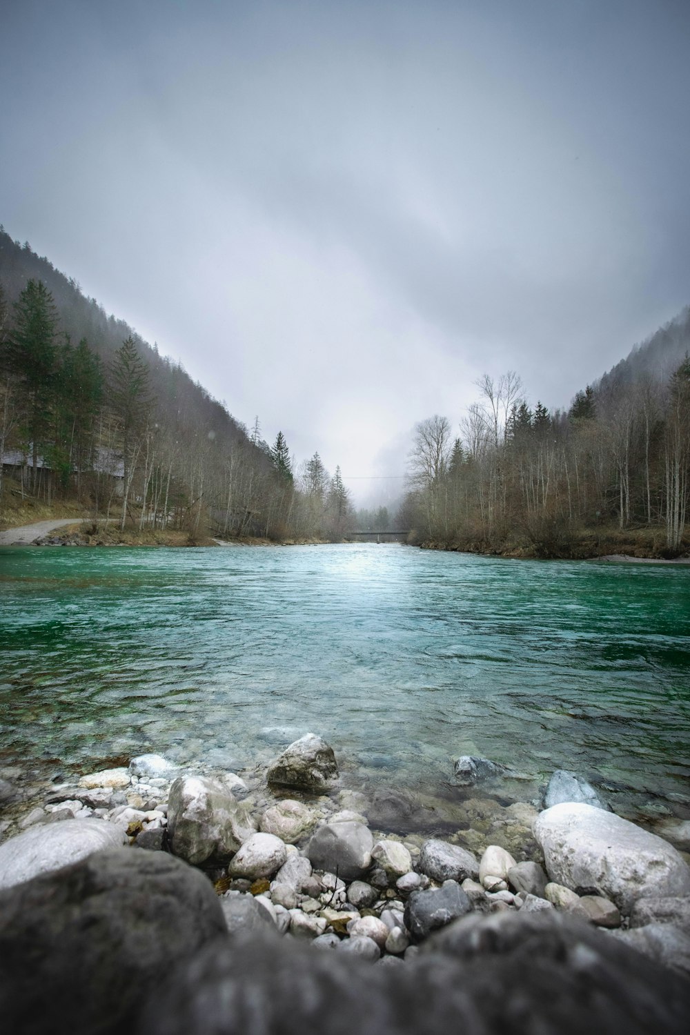 a body of water surrounded by trees and rocks