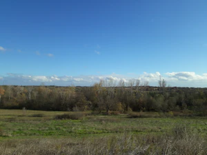 Edirne