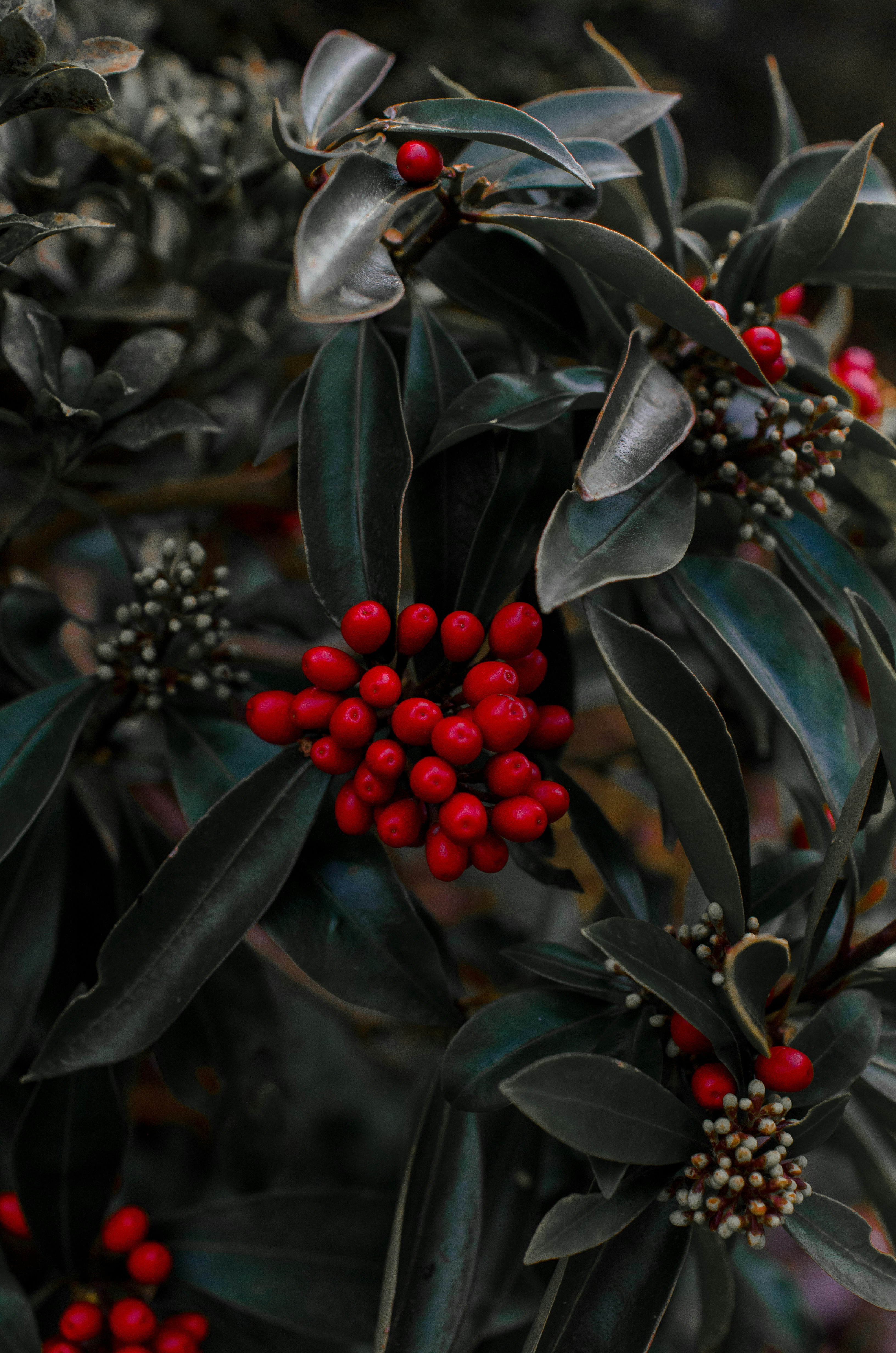 Photo by gamanalice3012