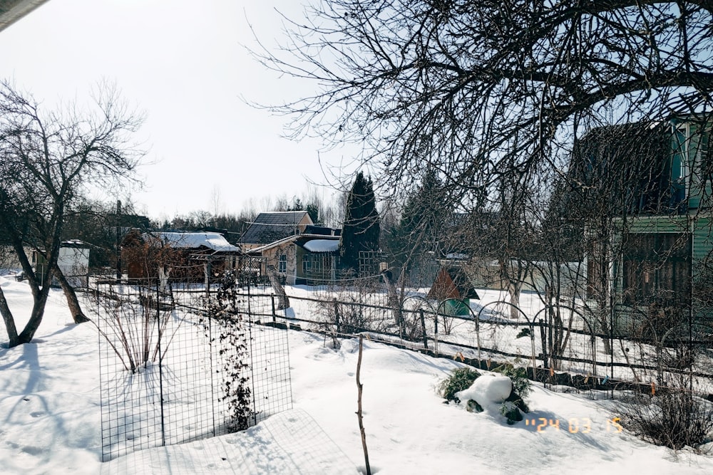 a snow covered yard with a fence and trees