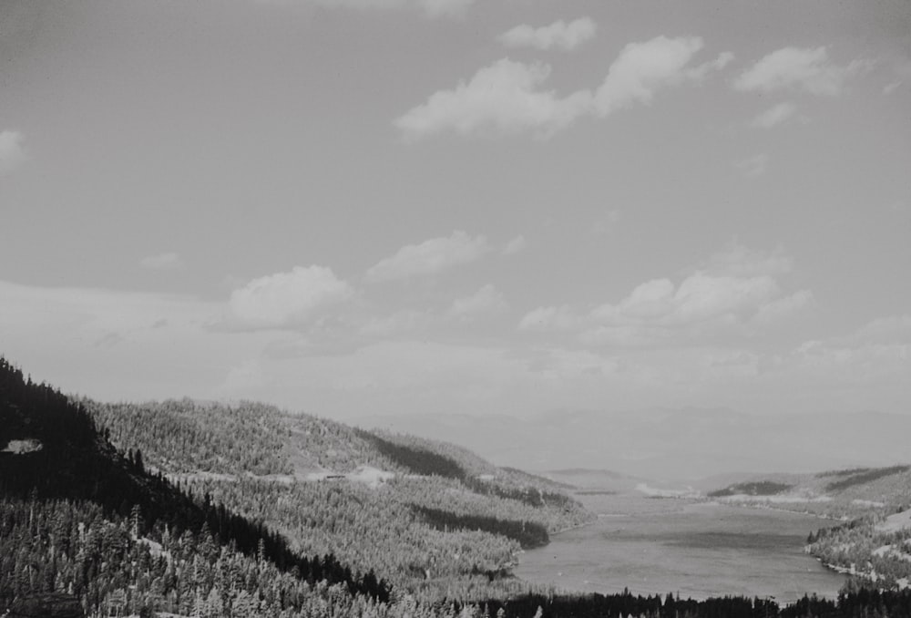 a black and white photo of a lake surrounded by trees