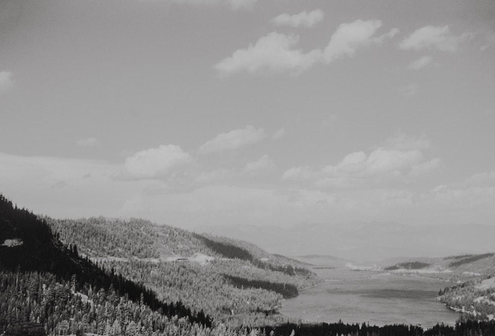 une photo en noir et blanc d’un lac entouré d’arbres