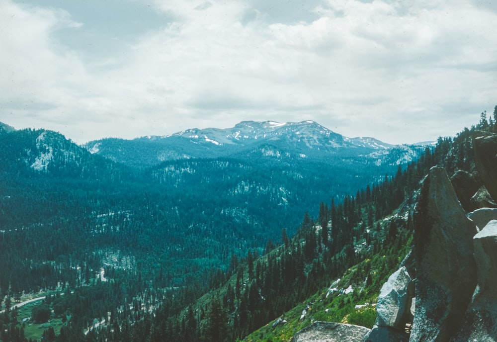 a man standing on top of a mountain next to a lush green forest