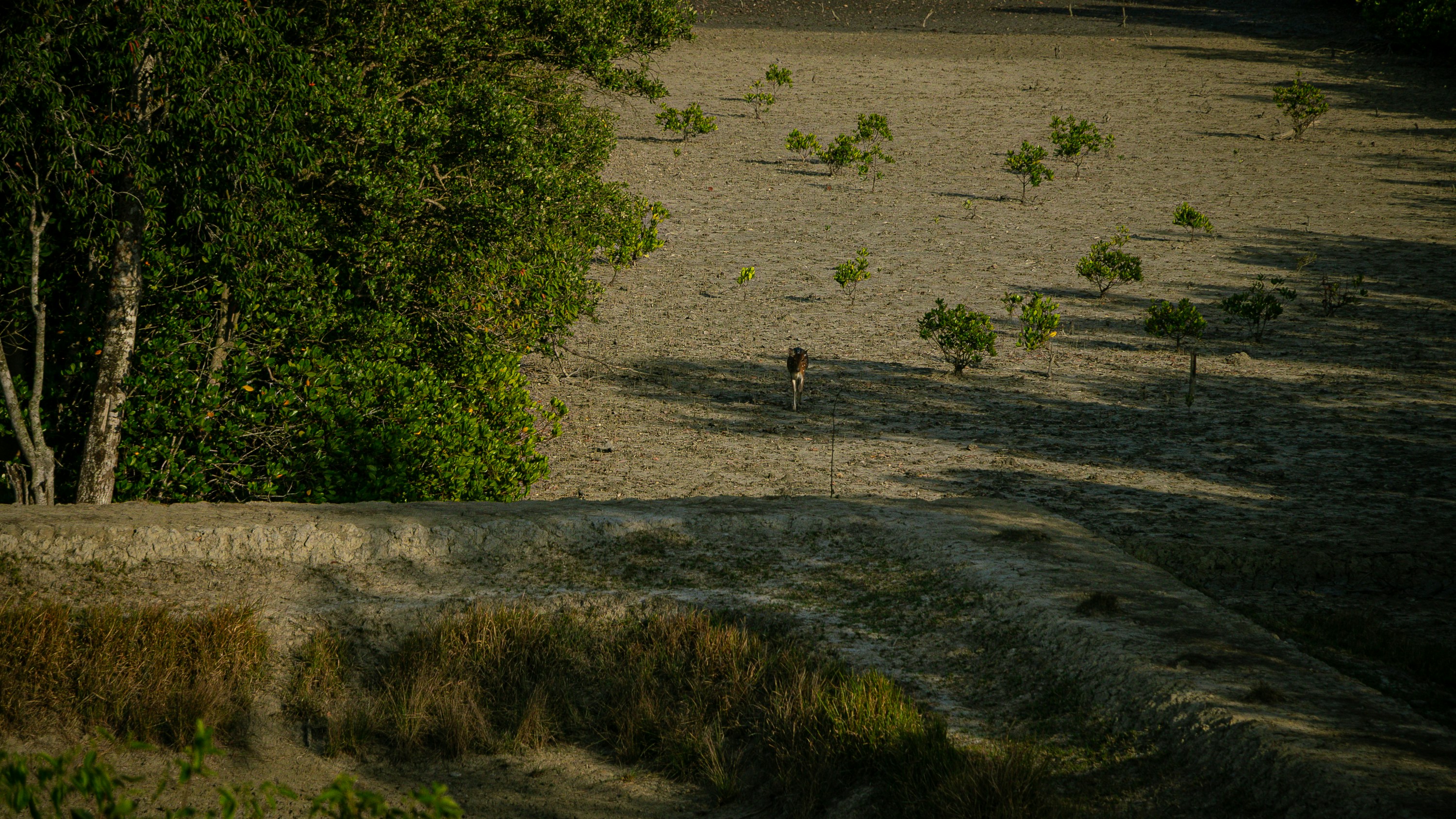 Photo by harkirt13
