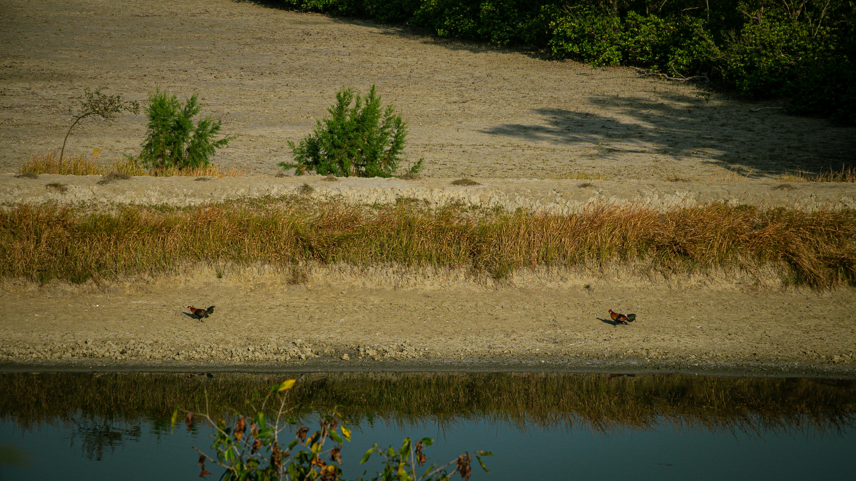 Photo by harkirt13