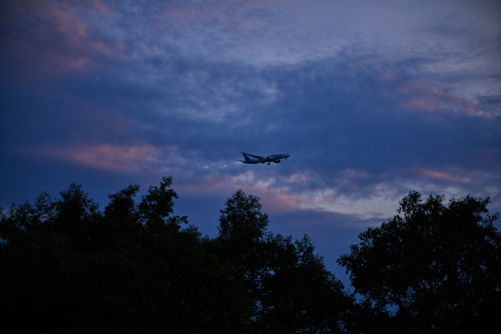 a plane is flying over some trees at dusk