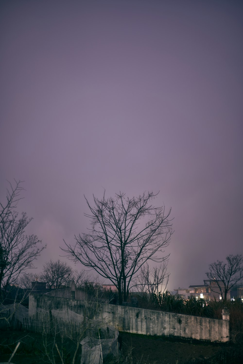 a dark sky with a few clouds and some trees